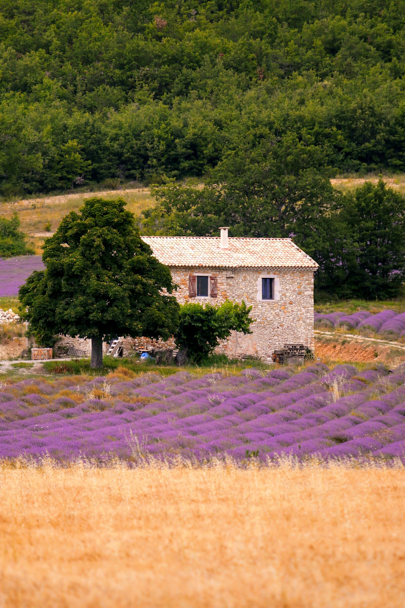farmhouse near Banon (Alpes de Haute Provence)...