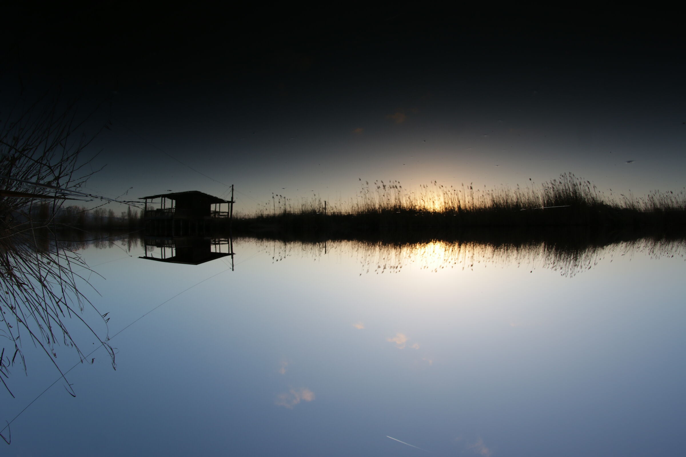 Reflection in Lake Massaciuccoli (Mass)...