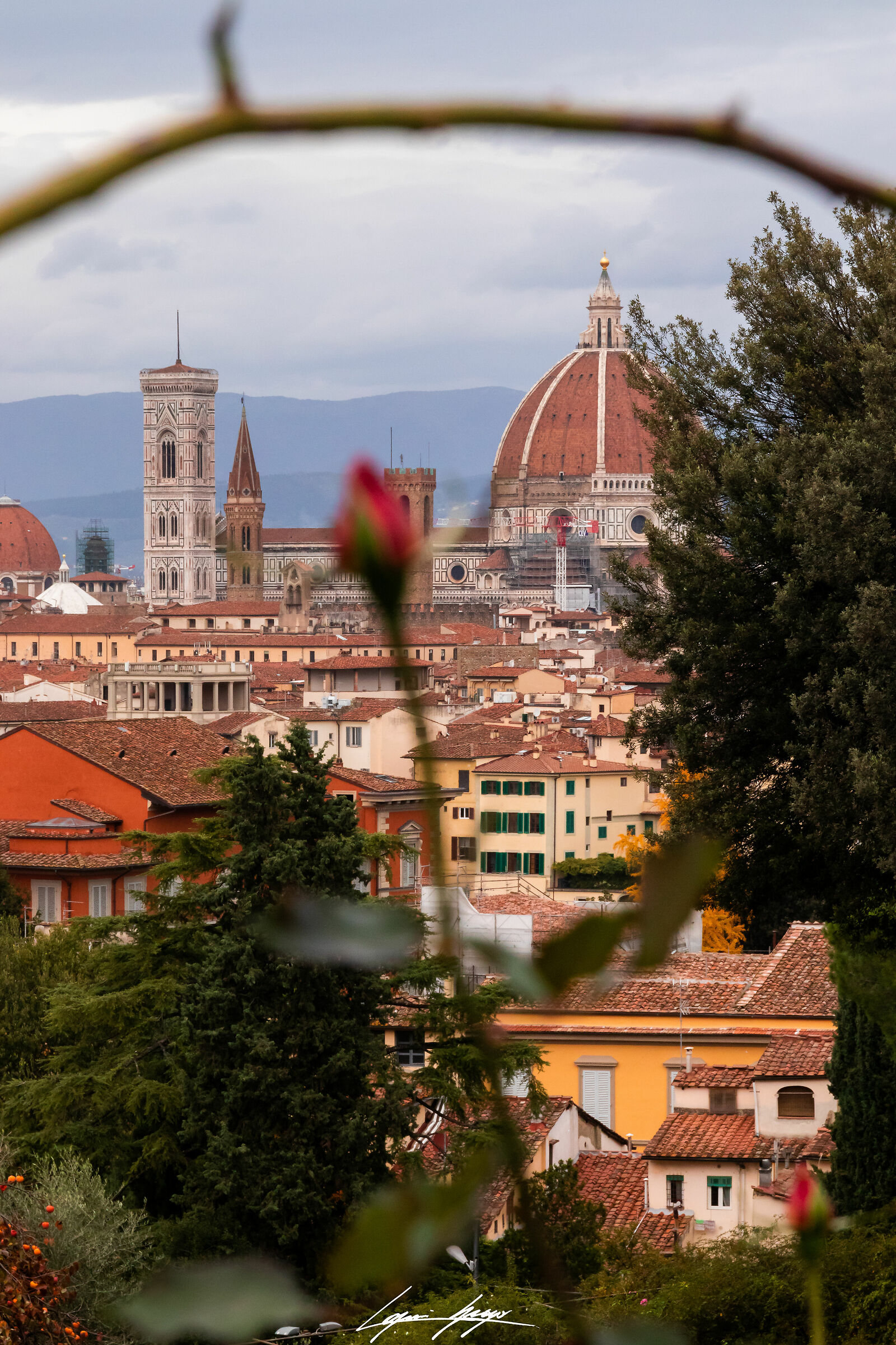 Florence the Romantic ...