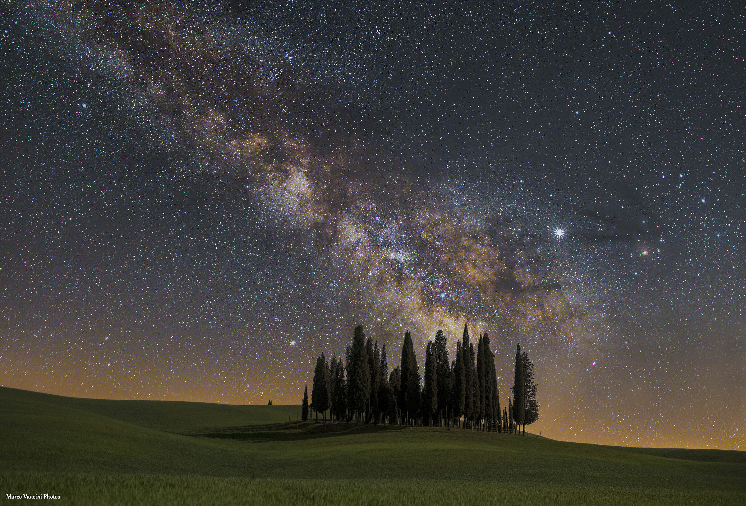 the stars on cypresses ...