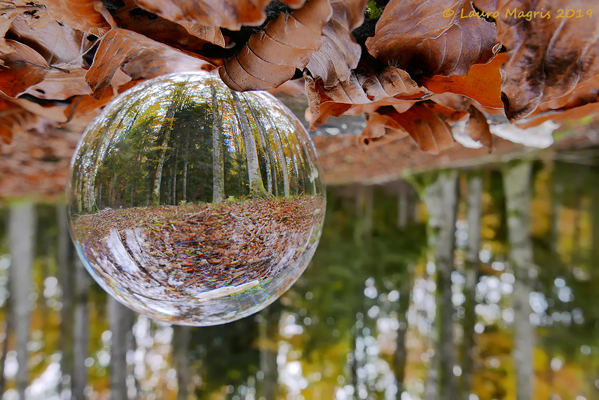 Autumn in a sphere...