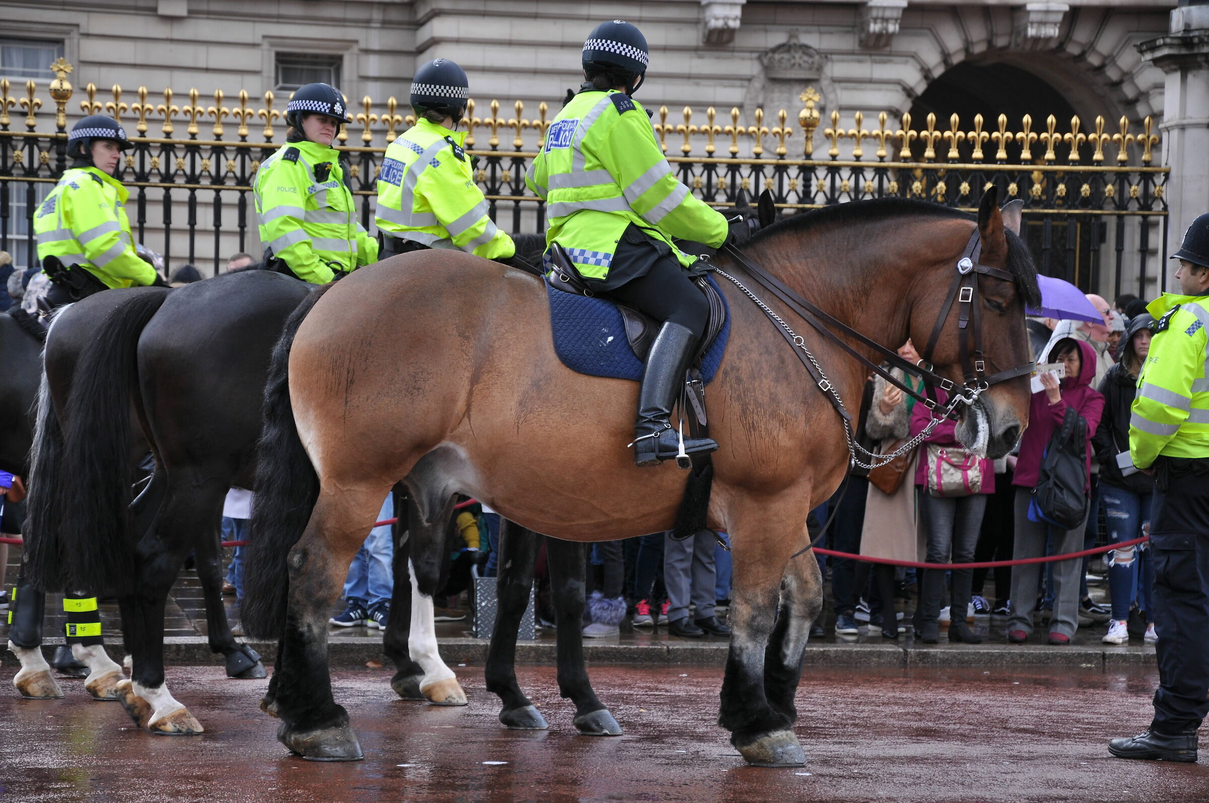 police on horseback...
