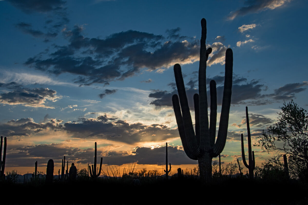 Sunset in Arizona...