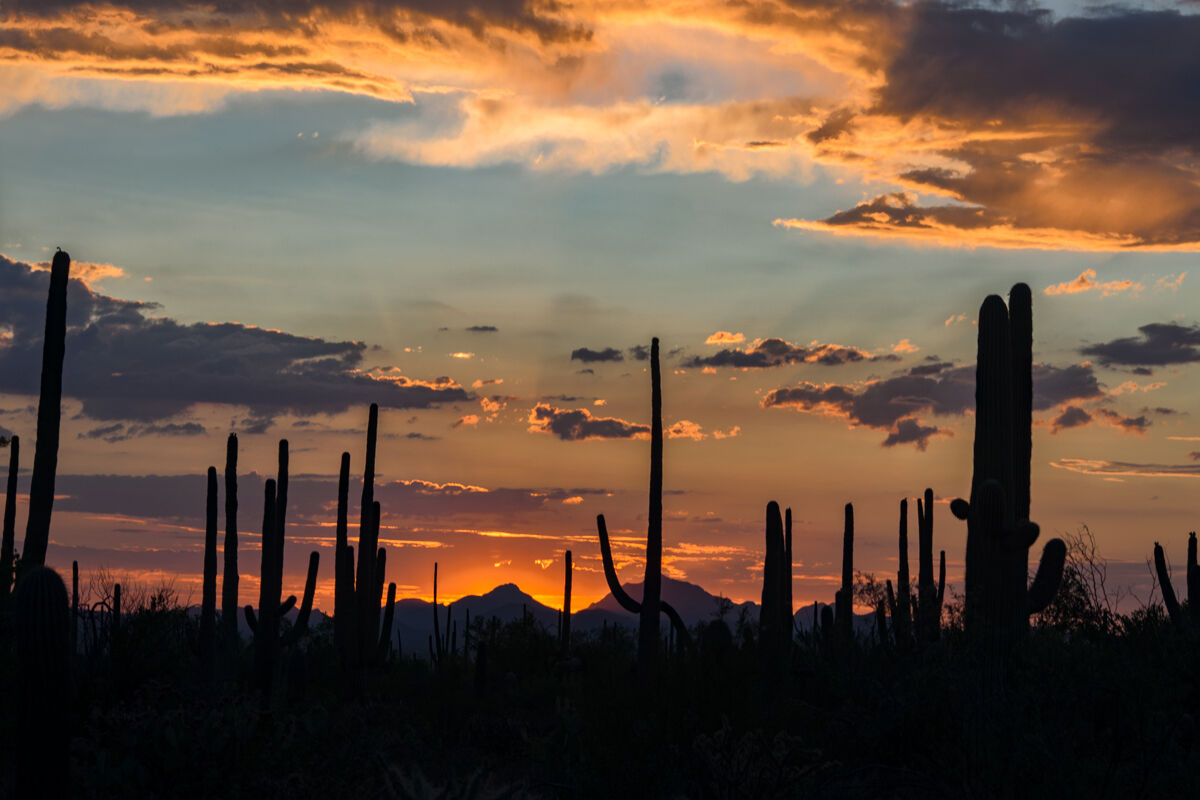 Sunset in Arizona 3...