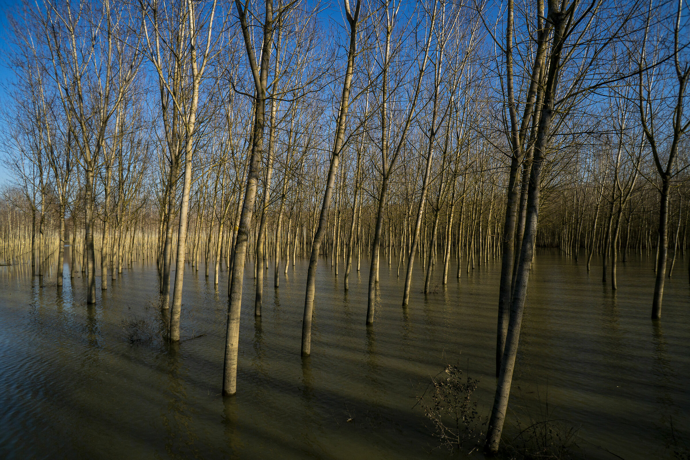 The flood of the Oglio...