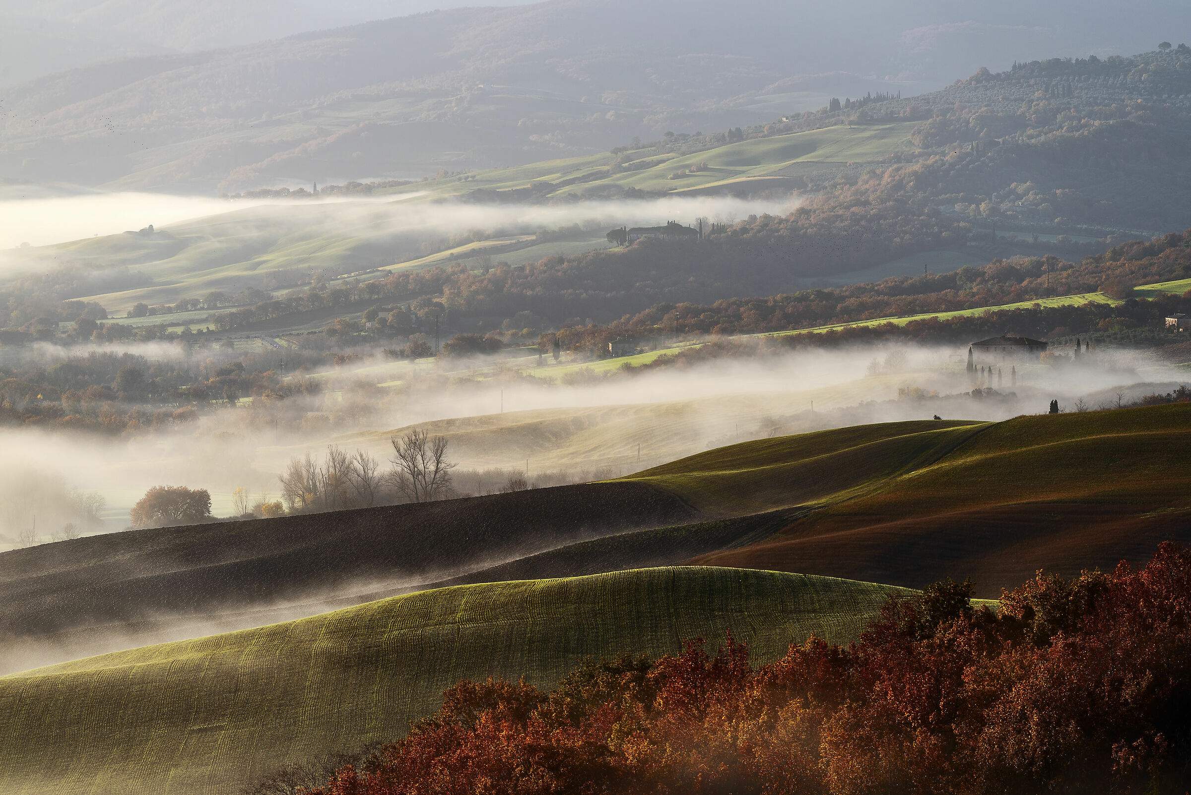 Tuscany campaign in Autumn...