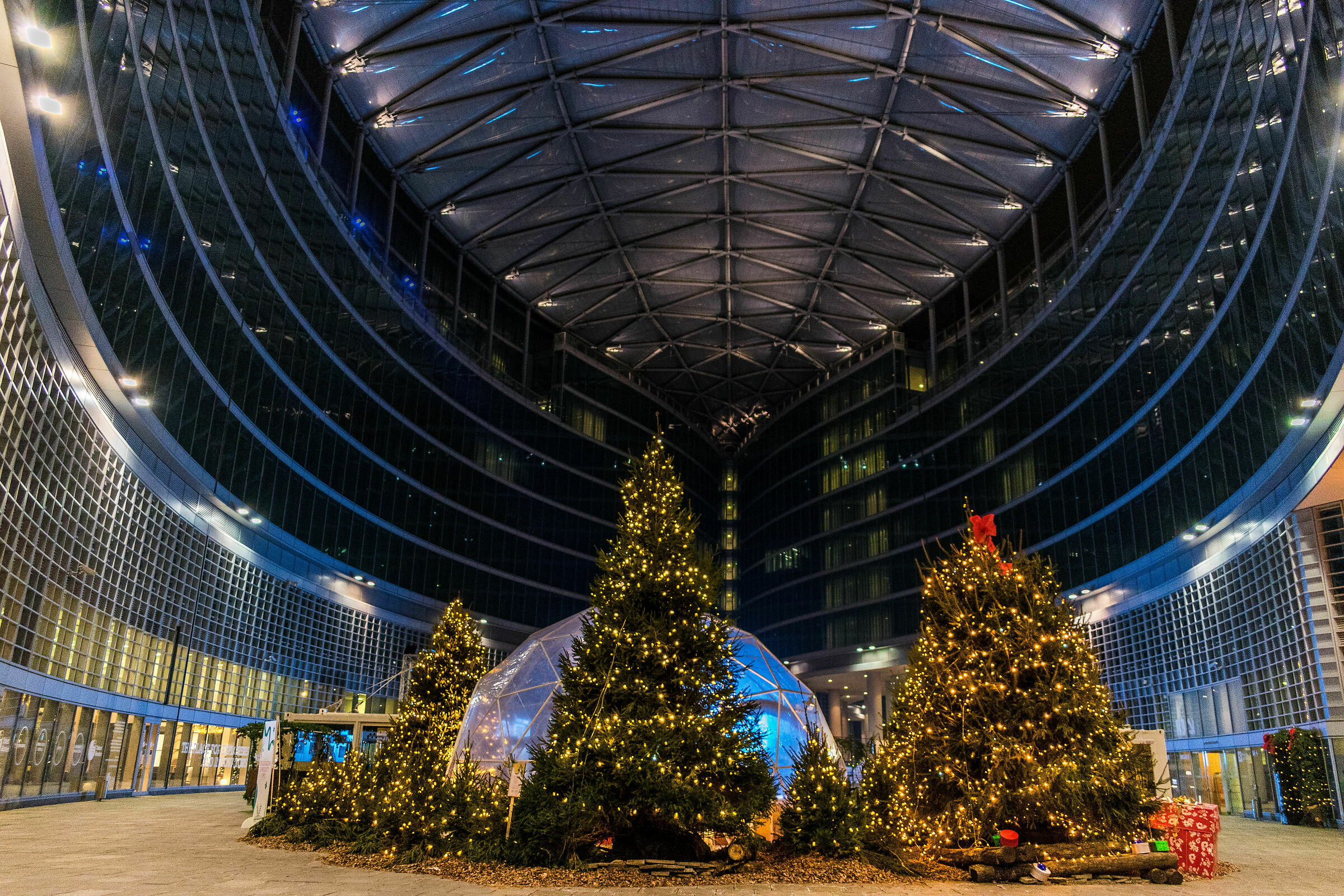 Milan Palace of the Lombardy Region - Christmas...
