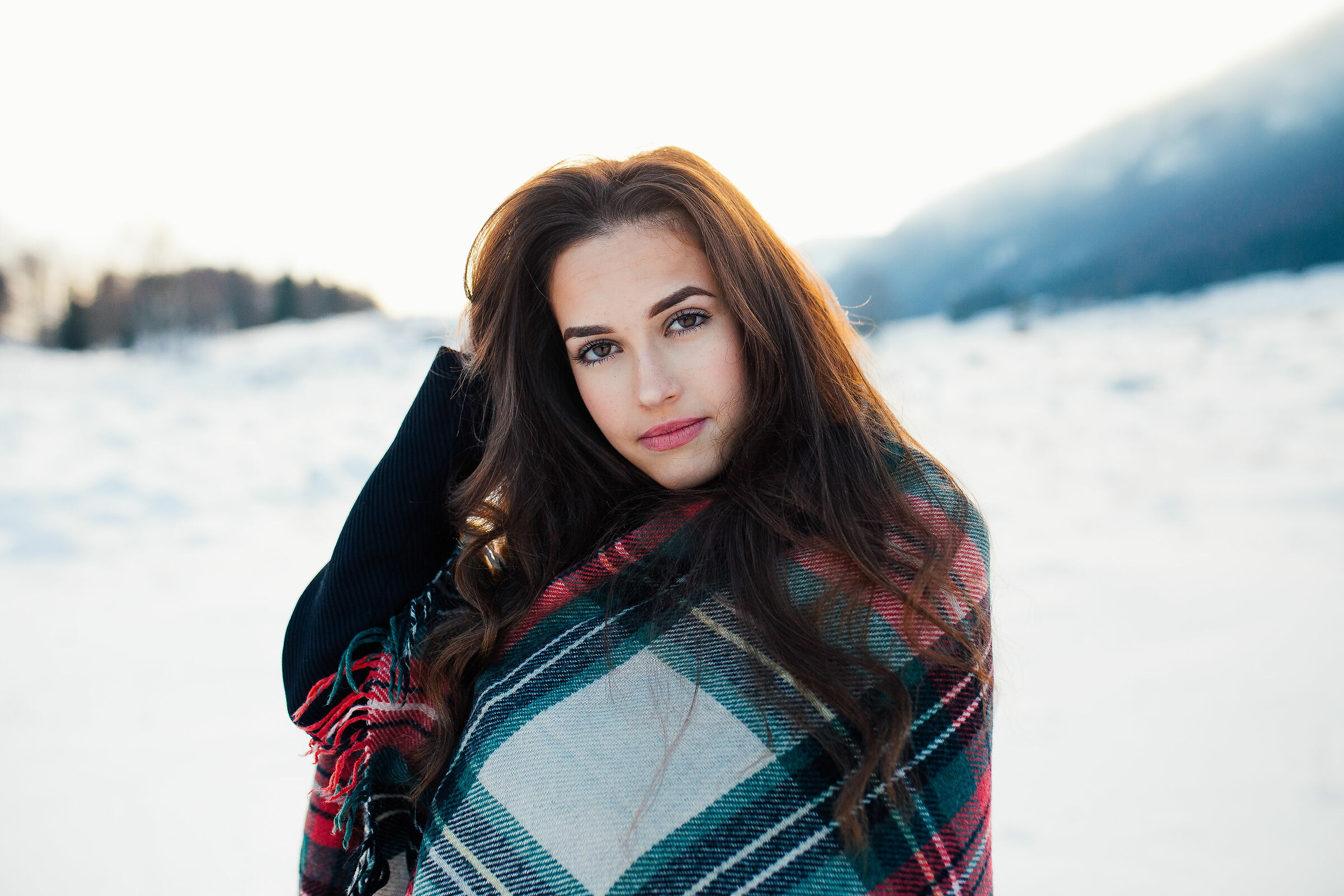Twilight Snowy...
