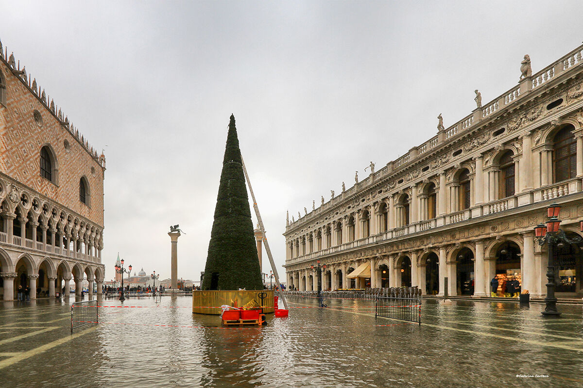 Happy Holidays to all Venetians...