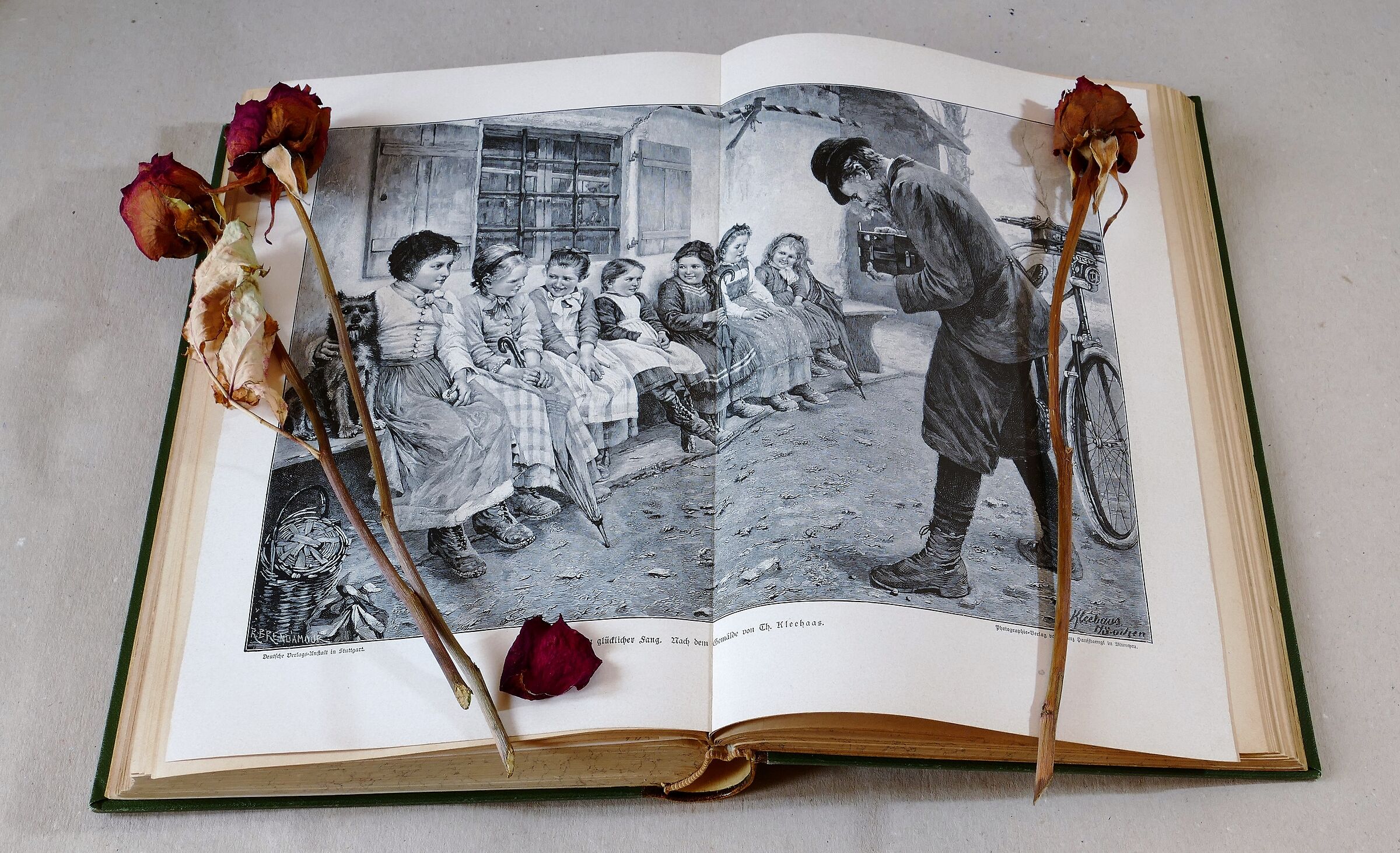 Old book - old roses - old photographer (I)....