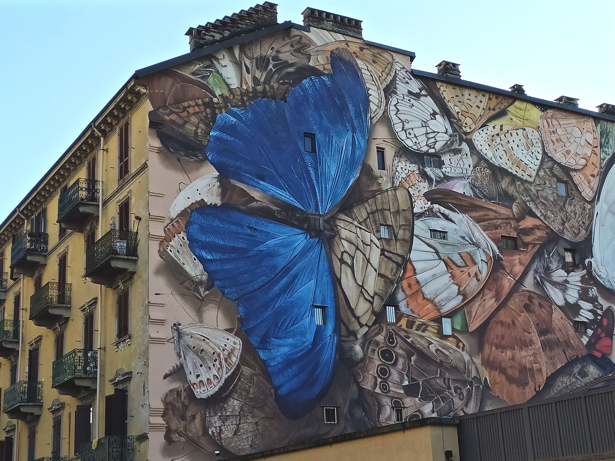 Turin Street Art...