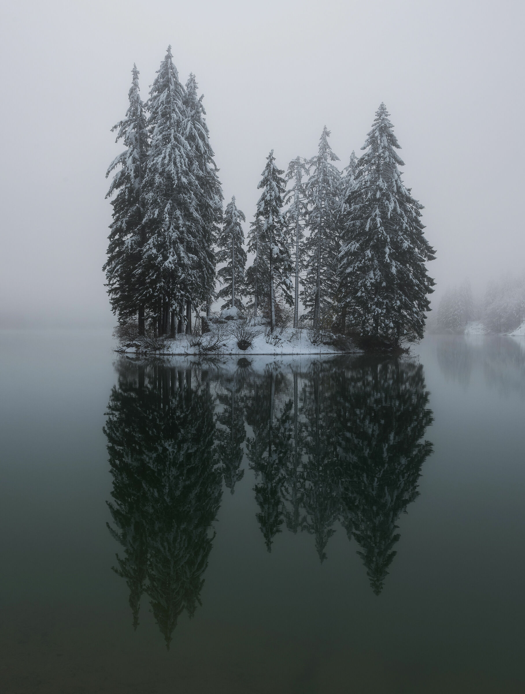 Winter solitude by Predil lake...