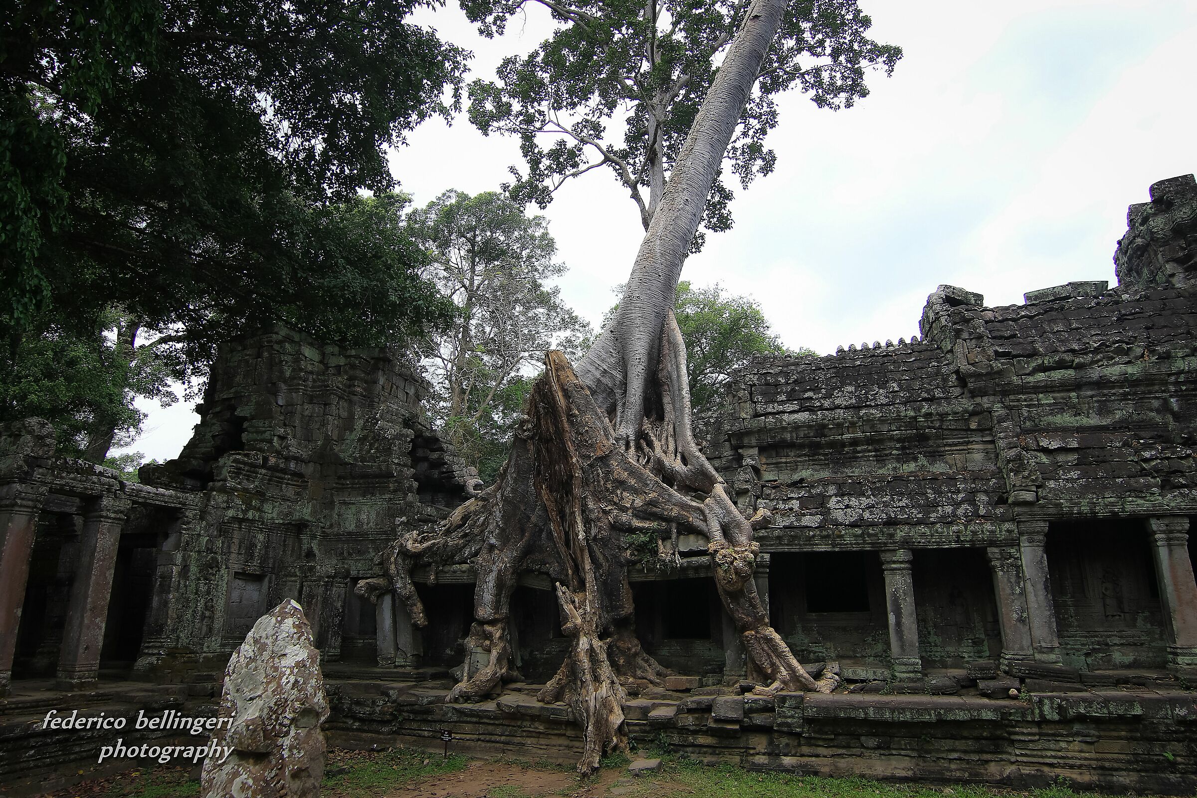 templi Cambogia...