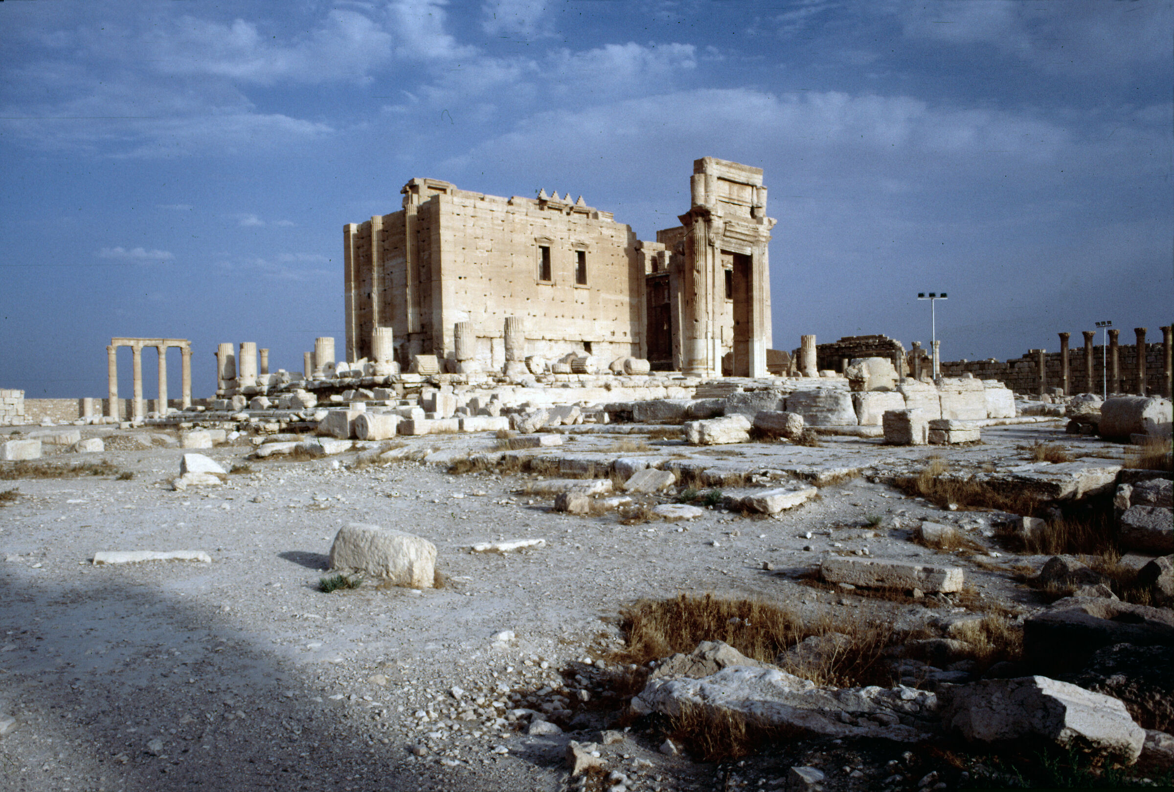 Palmyra...