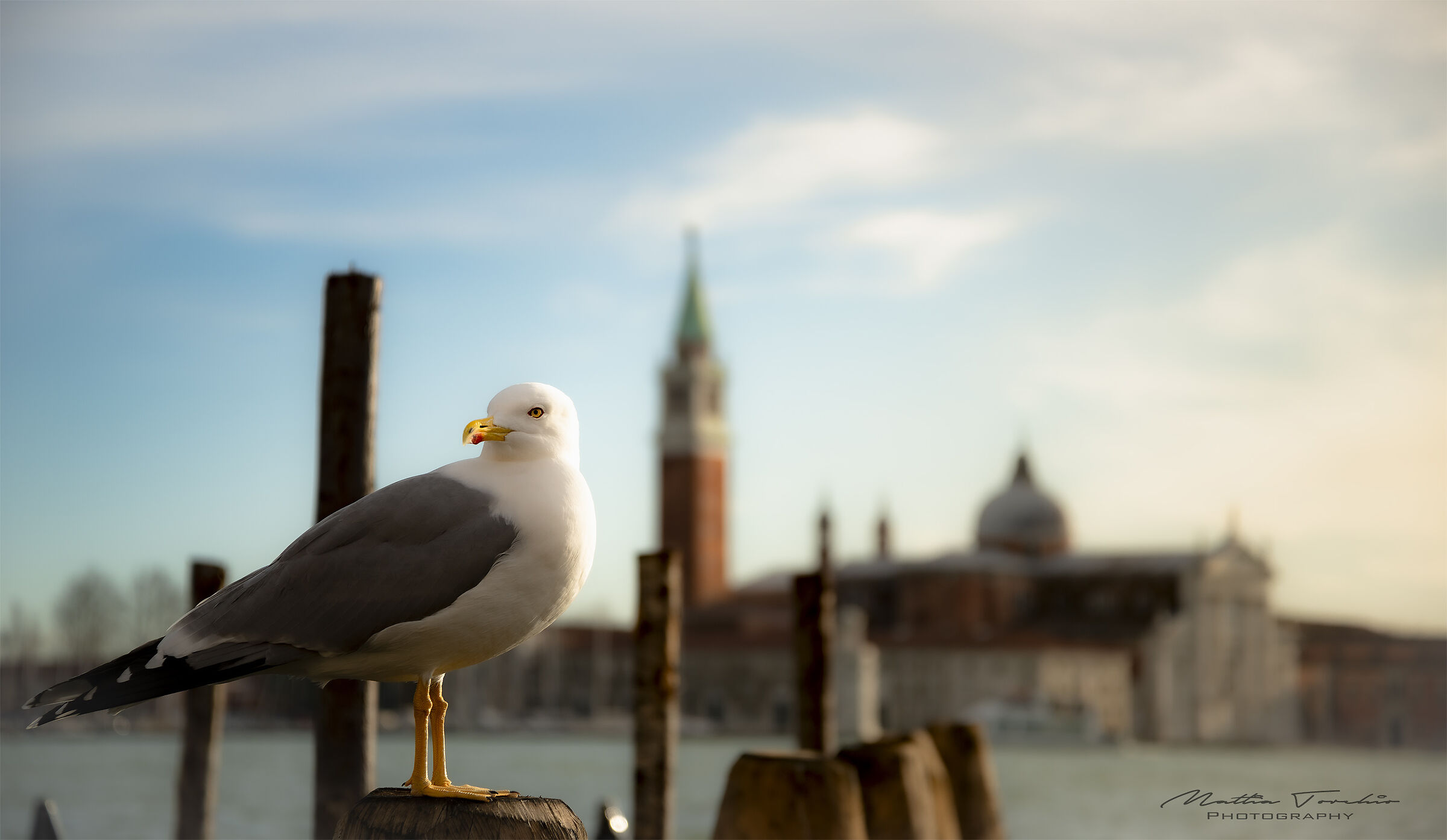 A subject with venetian background! ...