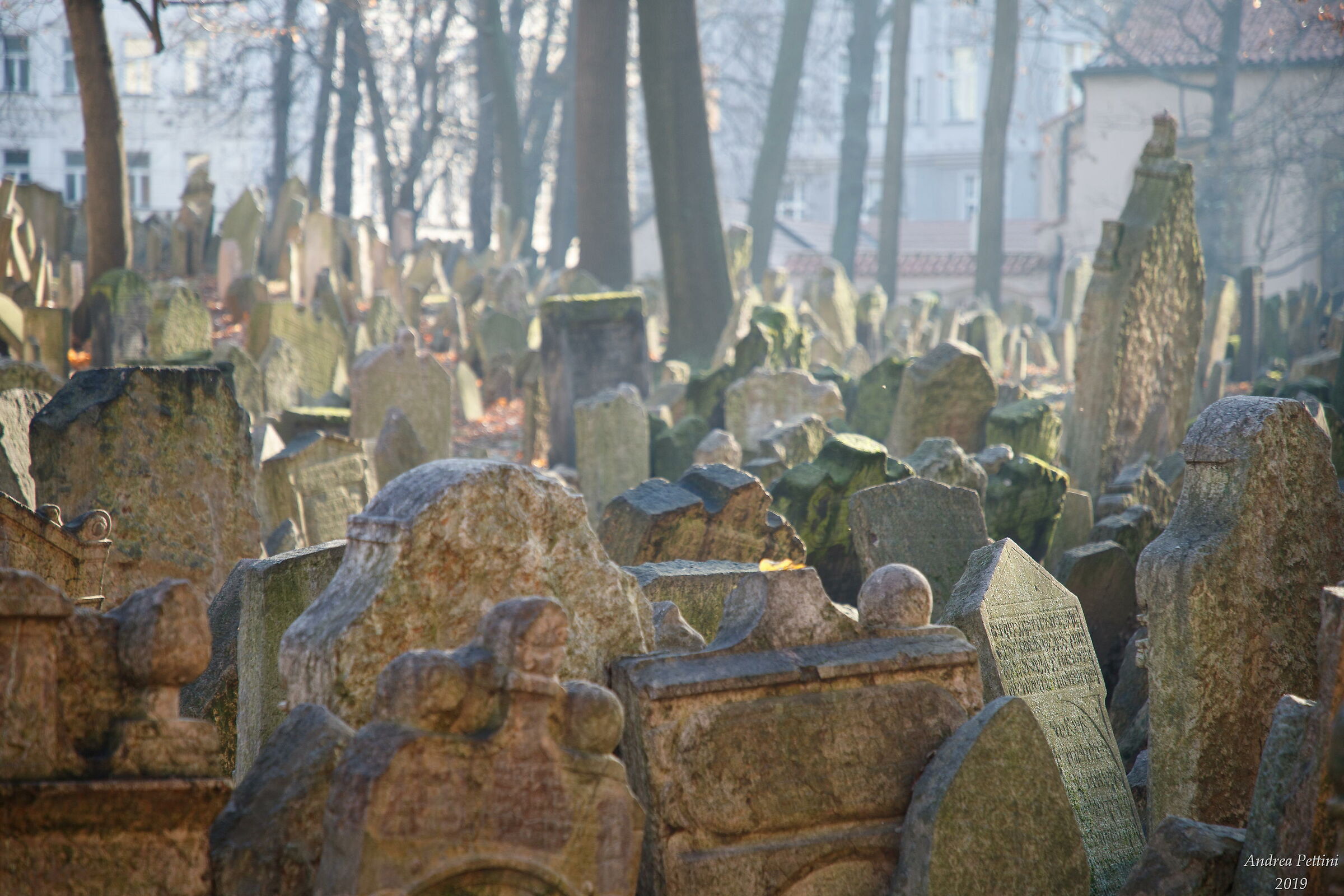 Jewish Cemetery...