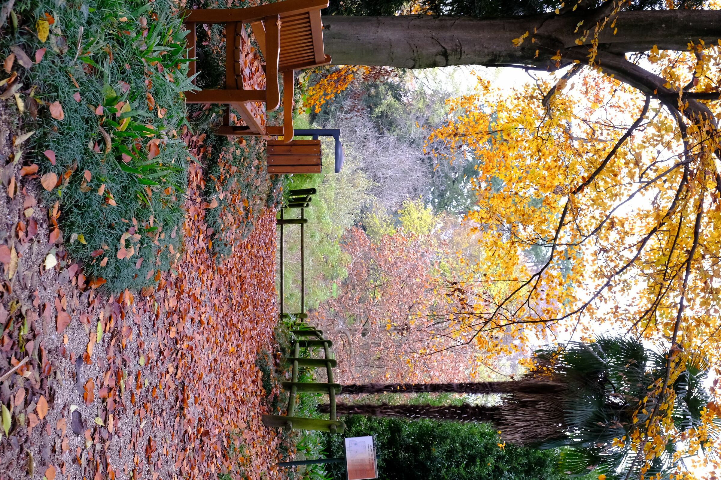 Villa Manin ithe park in autumn...