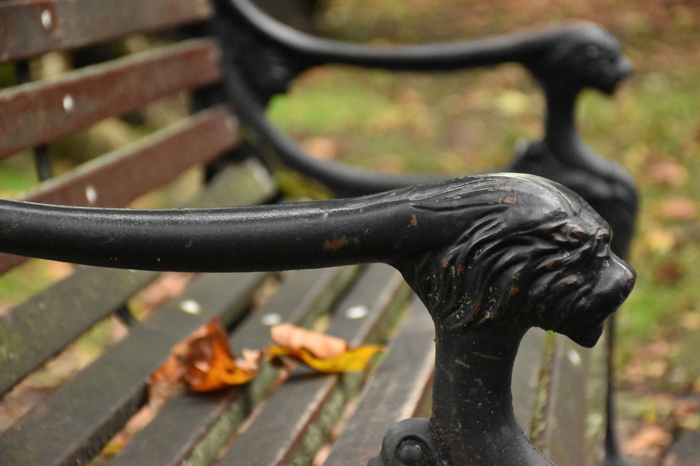 Autumn bench...