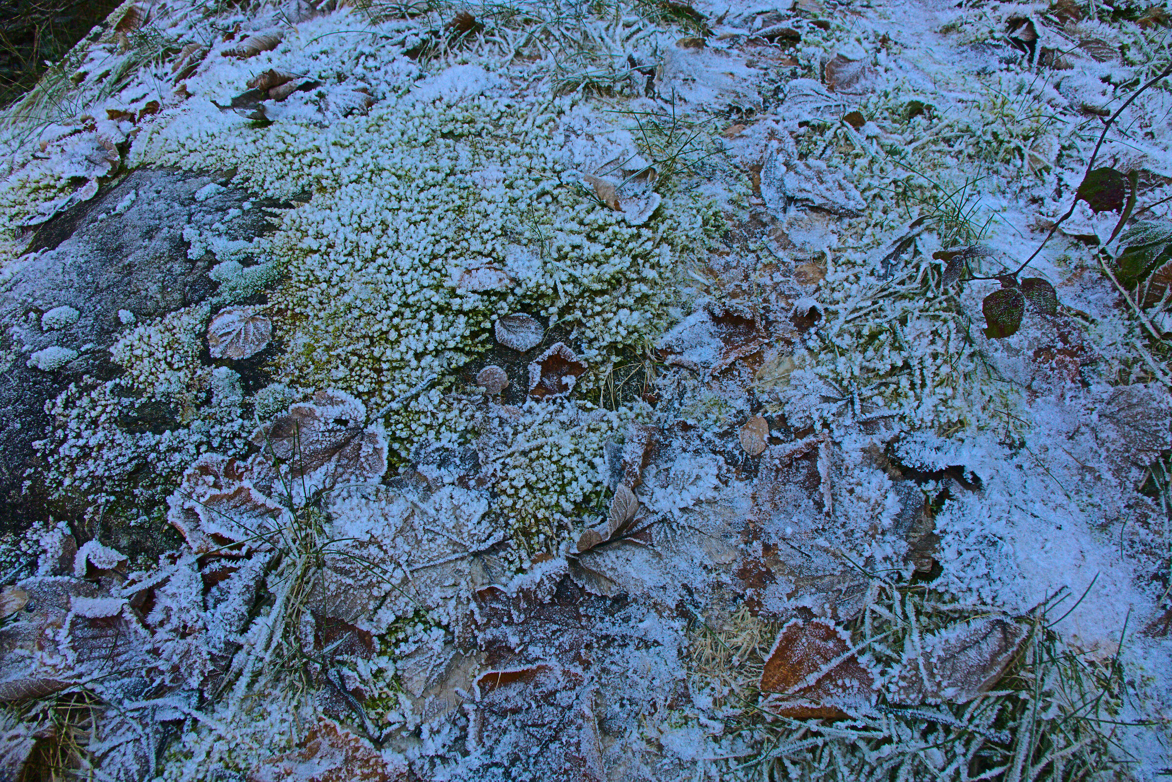 Ground with frost (white version)....