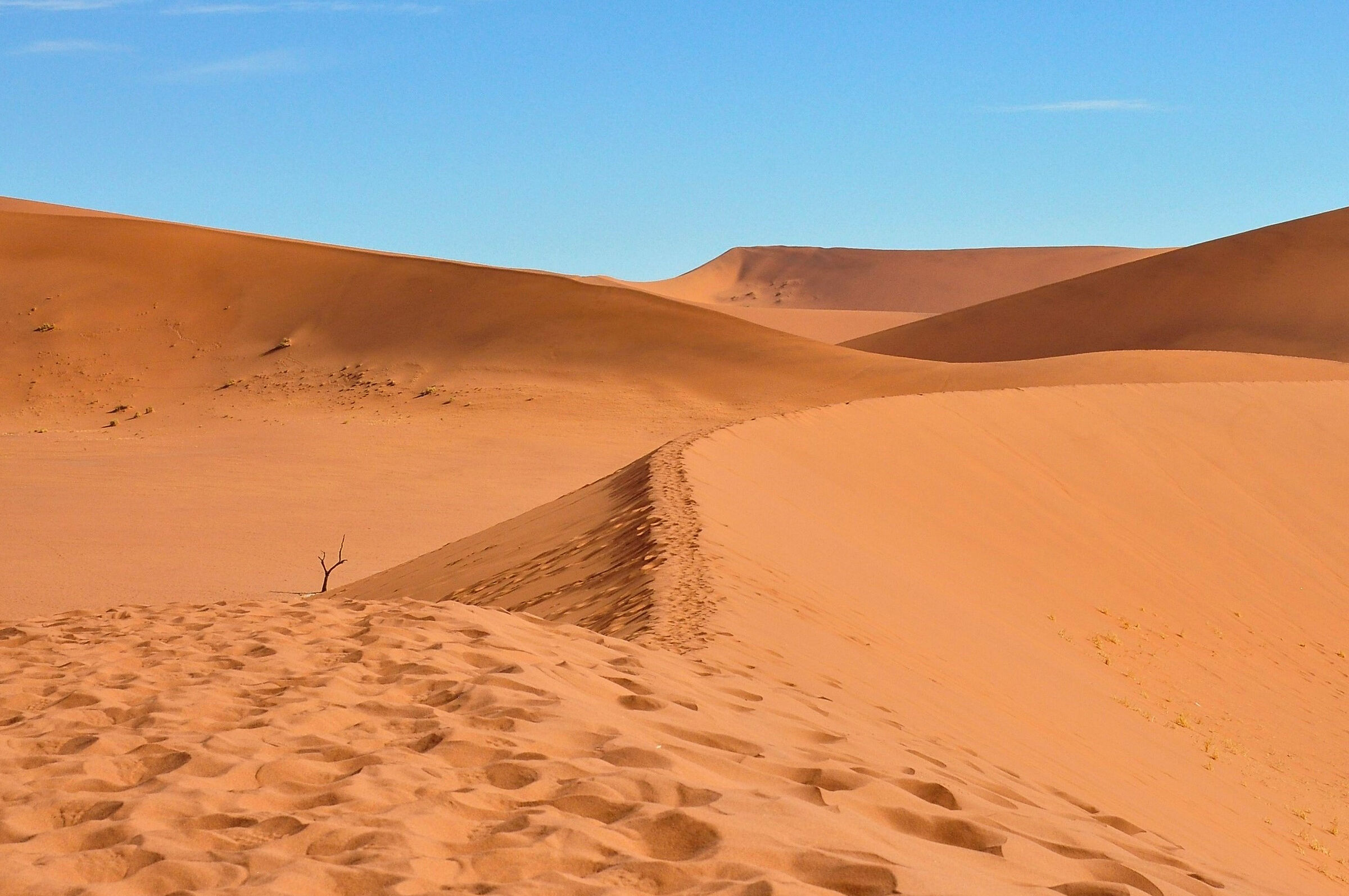 desert of the namib...