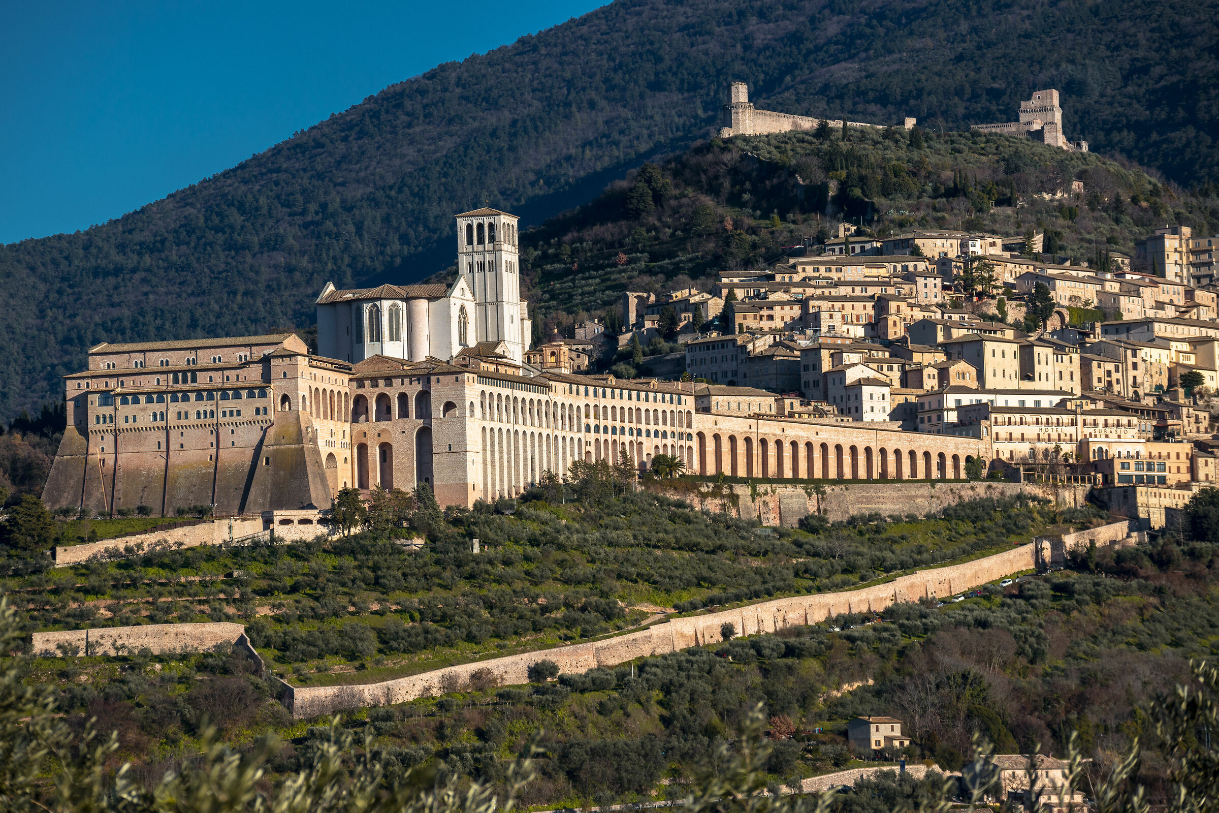 Assisi (Basilica in the light of sunset)...