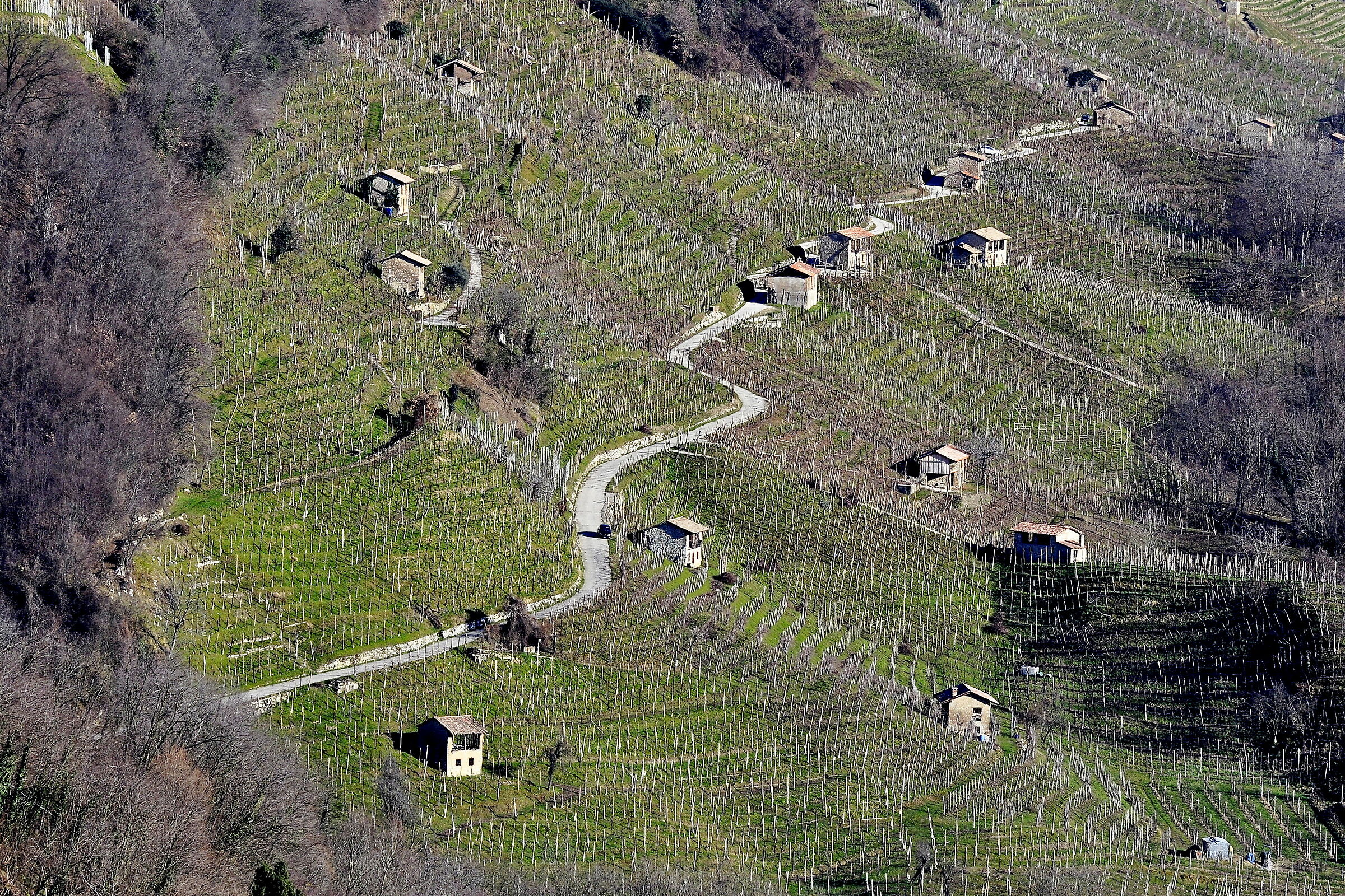 The Hills of Verdisio...