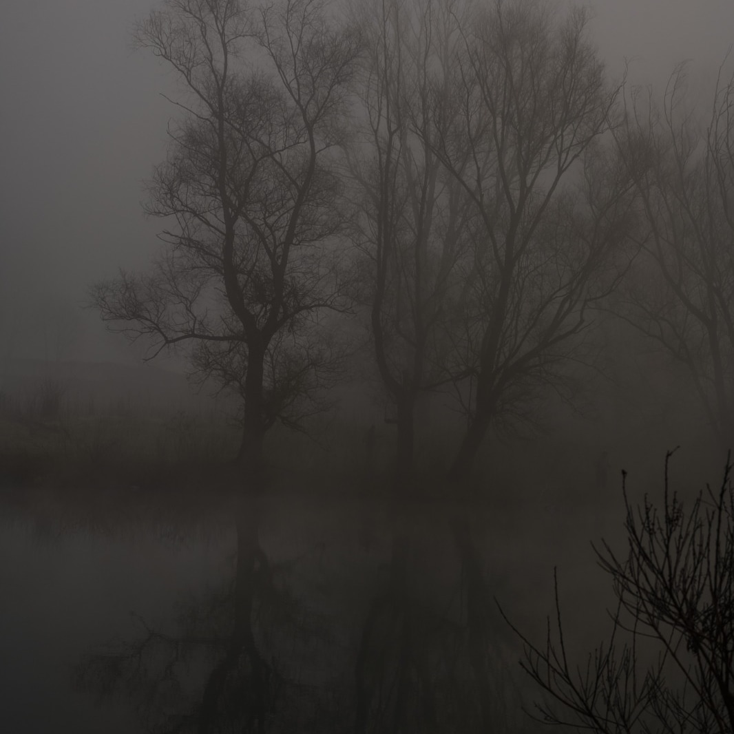 Reflections in the fog...