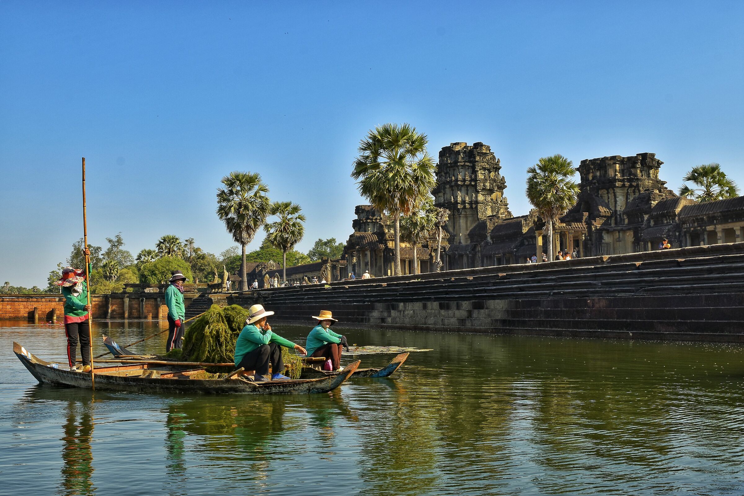 Pulitrici di alghe - Angkor Wat, Siem Reap...