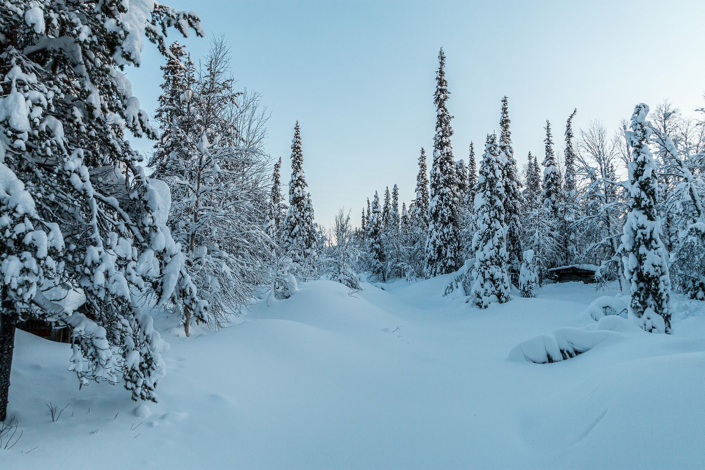 Lapland Landscape - Finland...