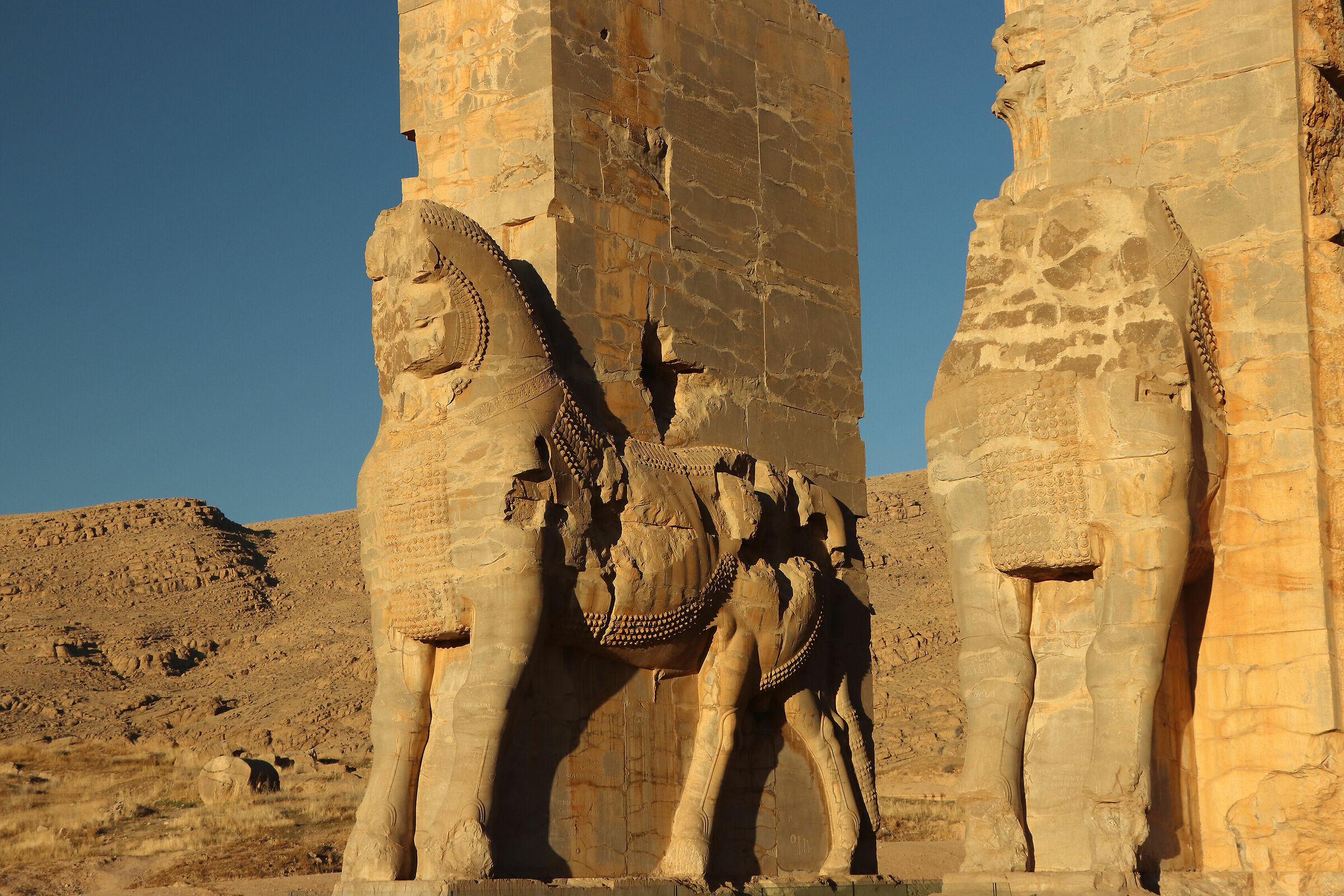 la porta di Persepolis...