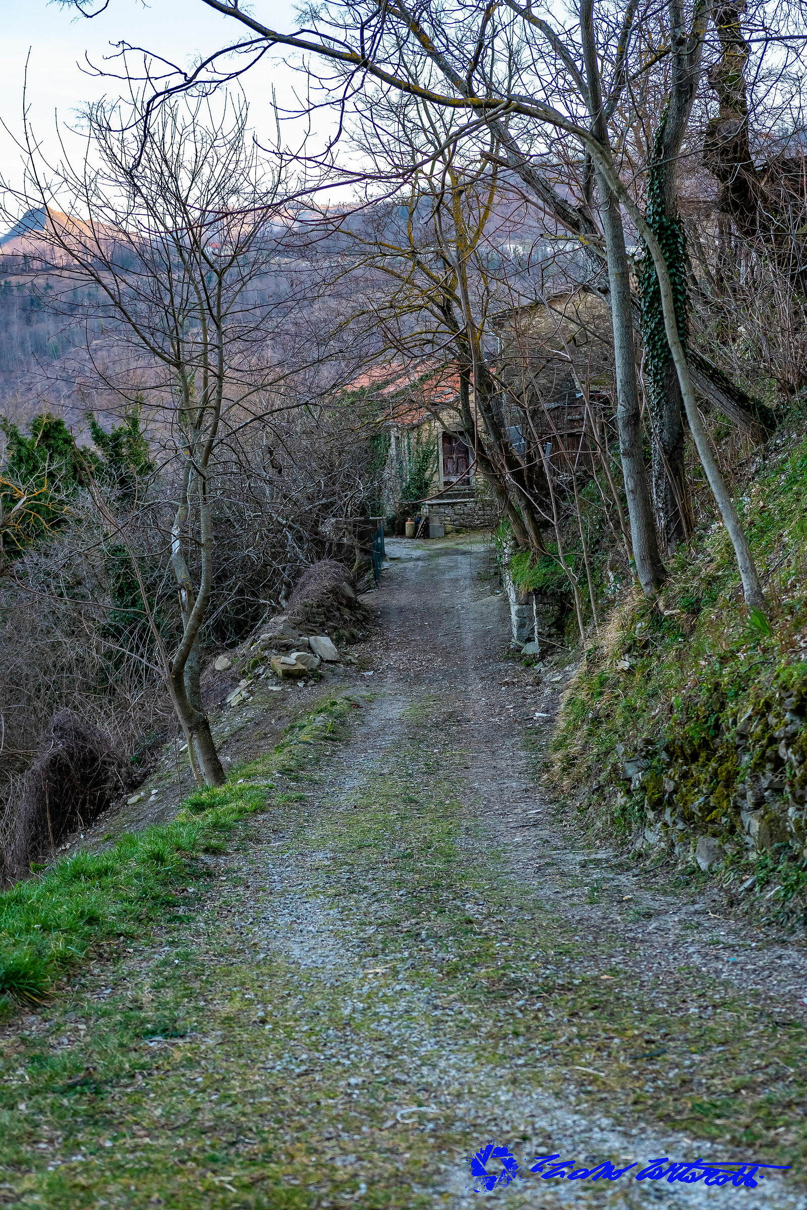 Castel D'alfero Valle del Savio...