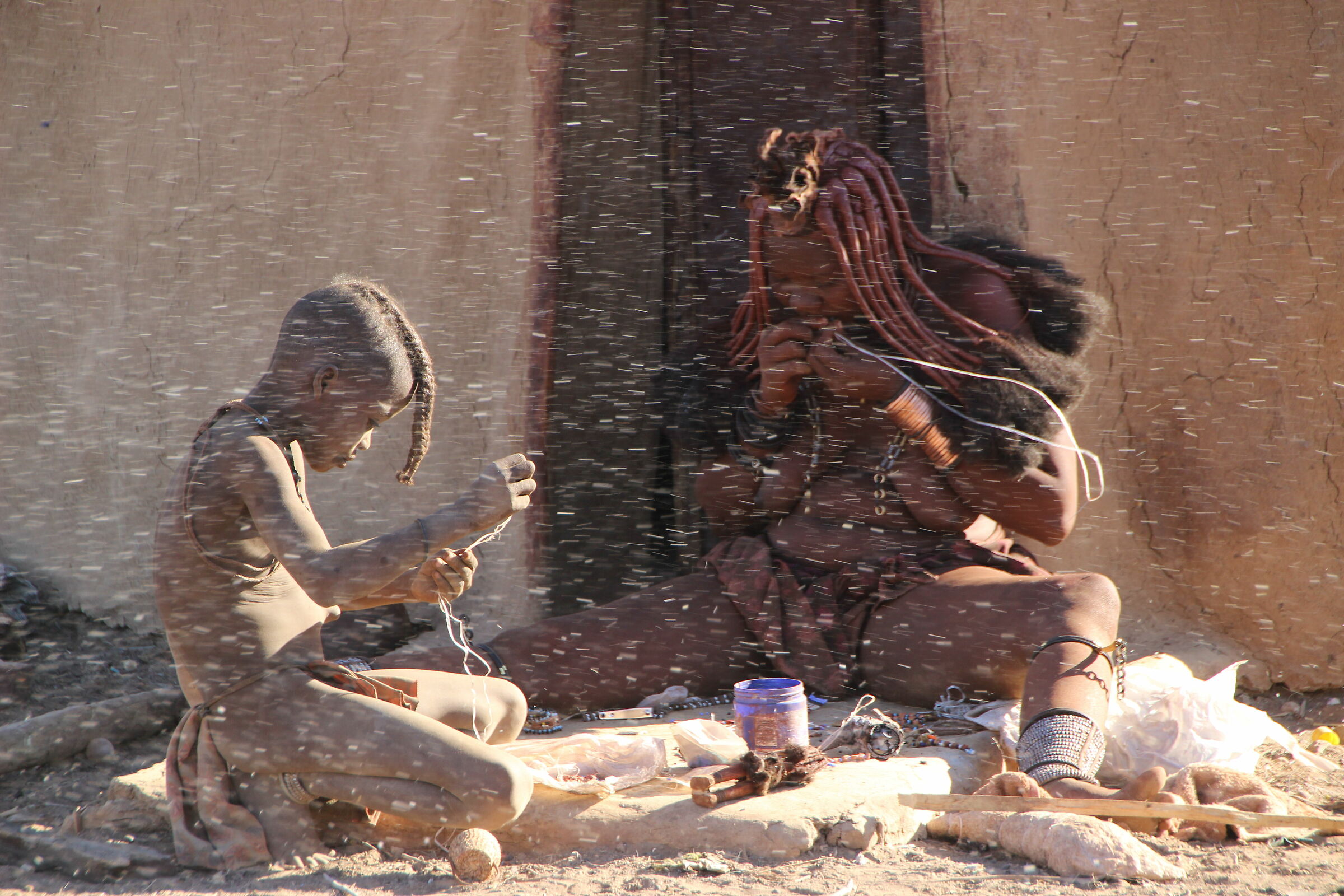 Himba among the rice chrys...