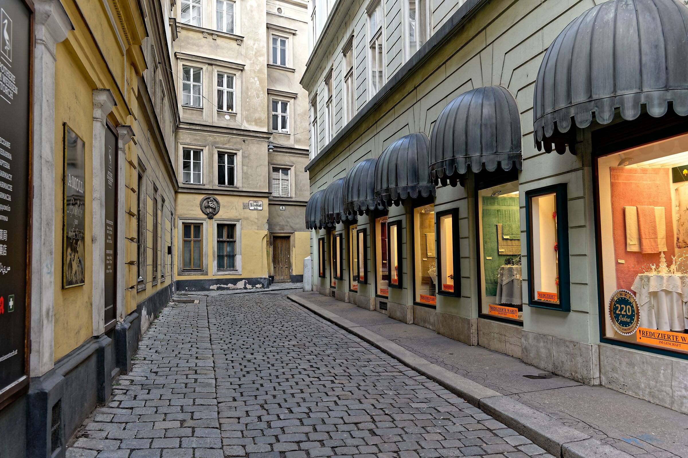 Vienna's alleys...