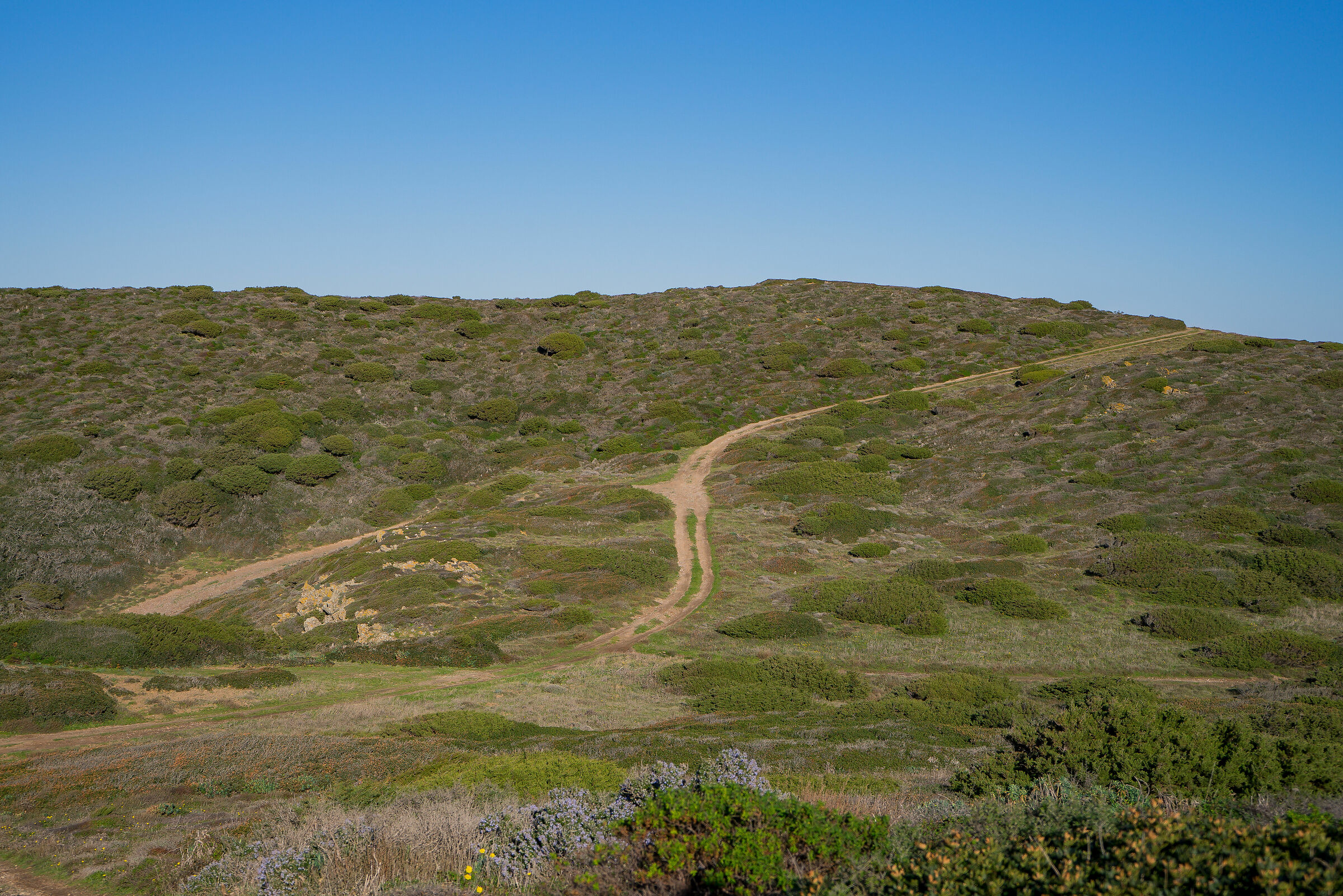 Hill trails...