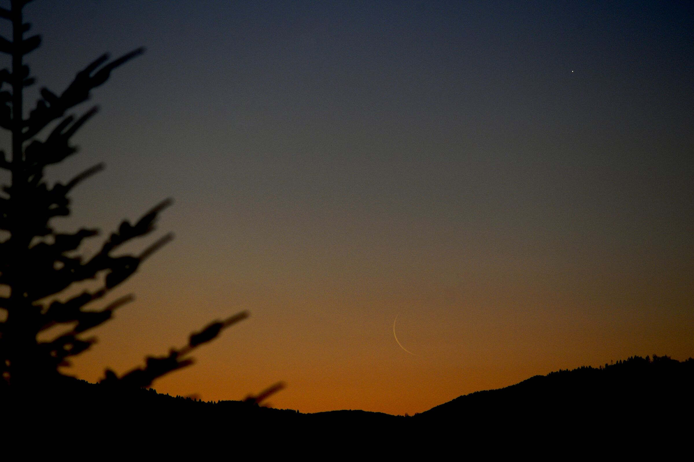 An almost new moon with Jupiter...