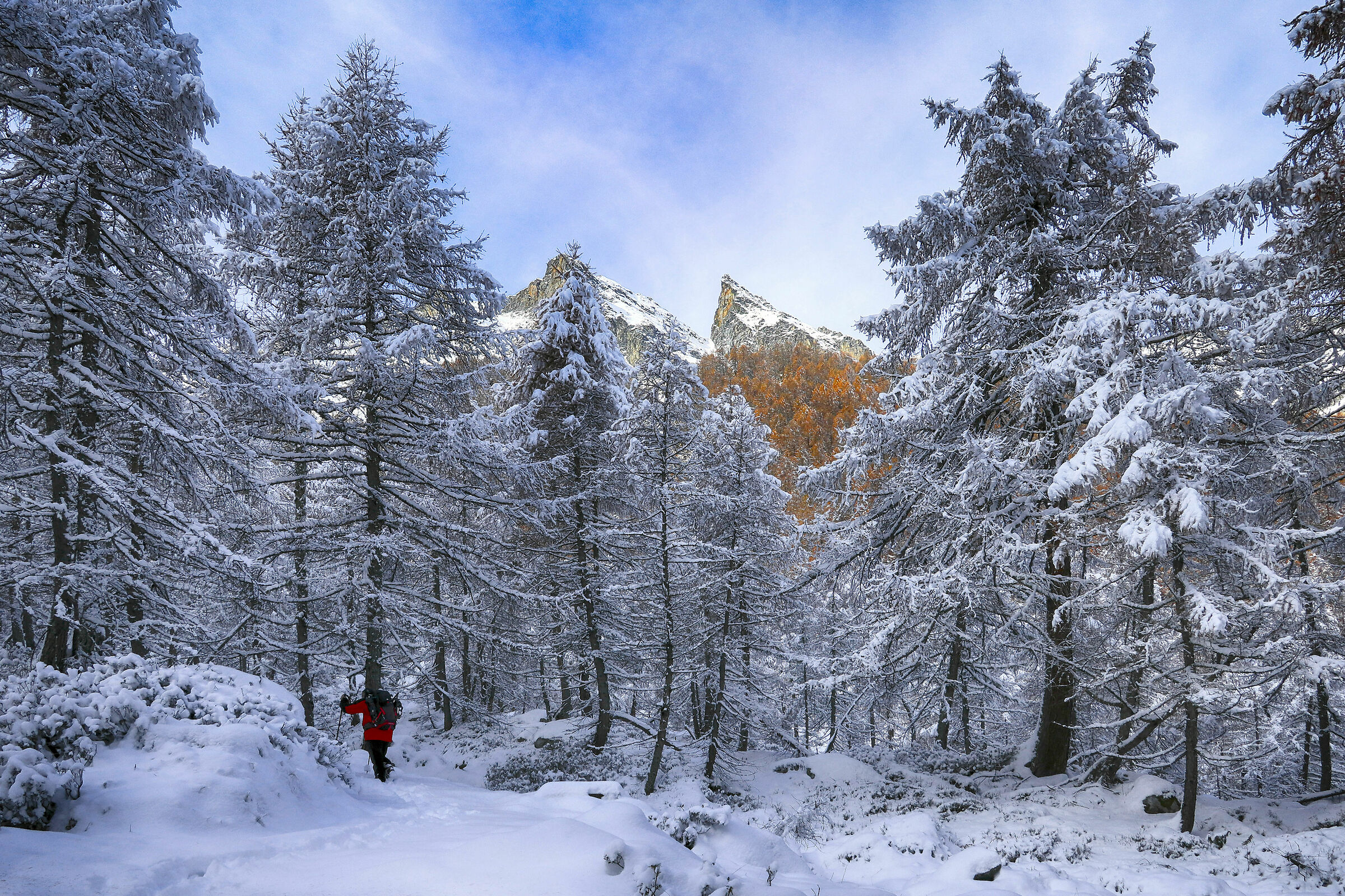autumn snowfall - Drogo Valley, Lombardy...