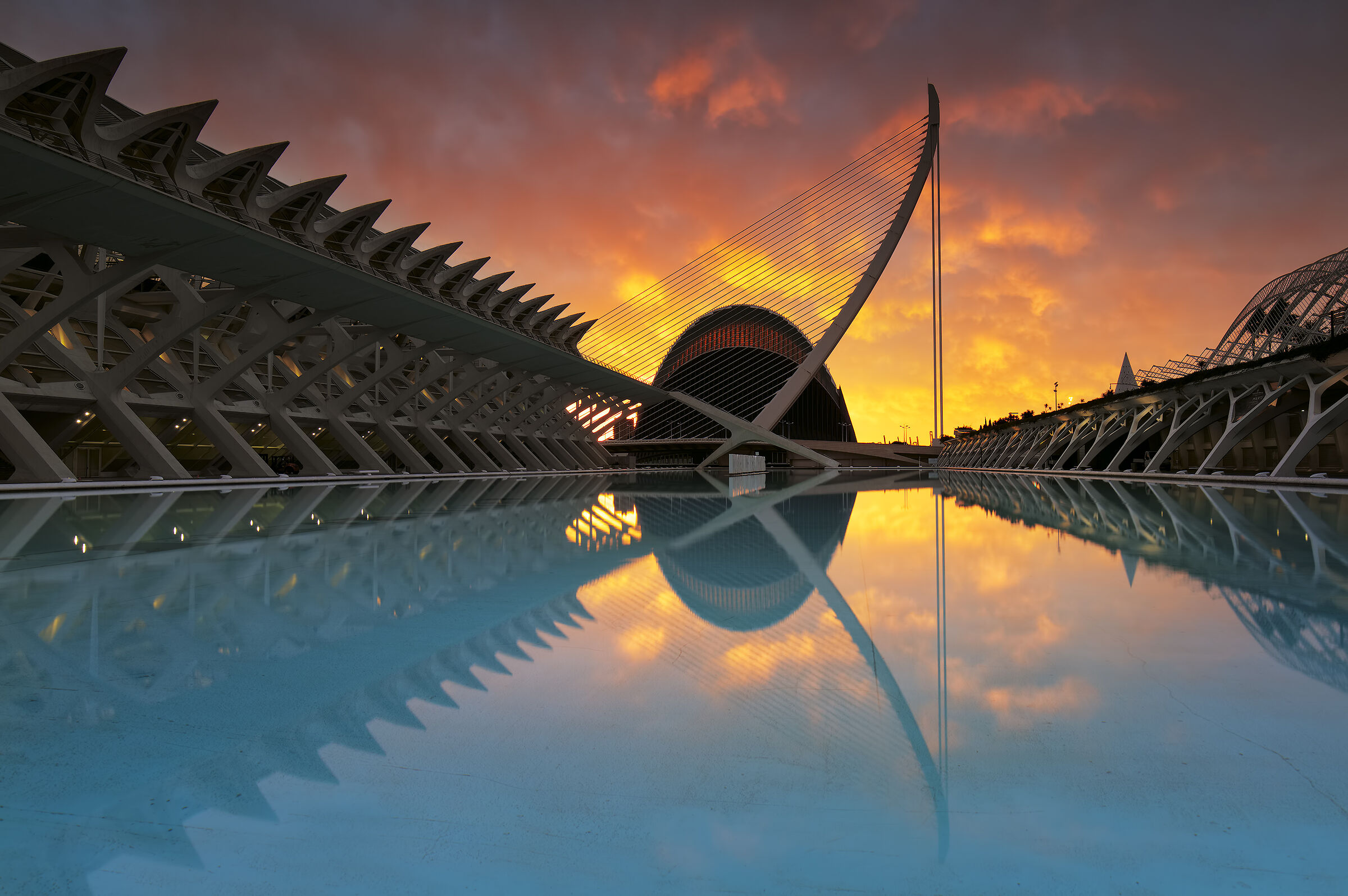 The City of Arts and Sciences...