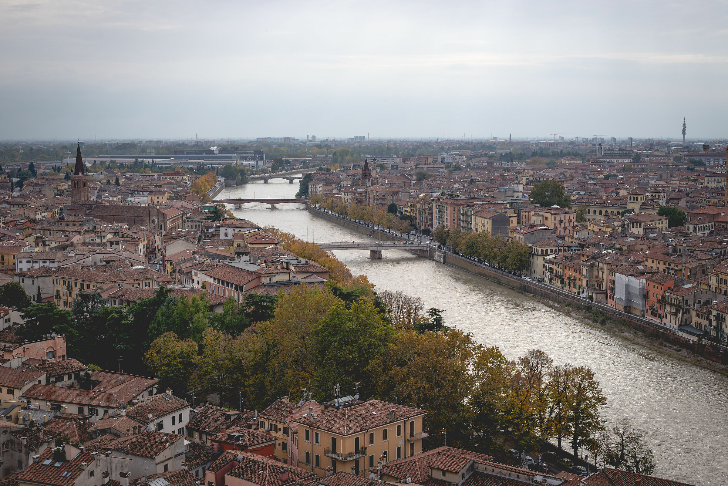 Up the city! (Verona)...