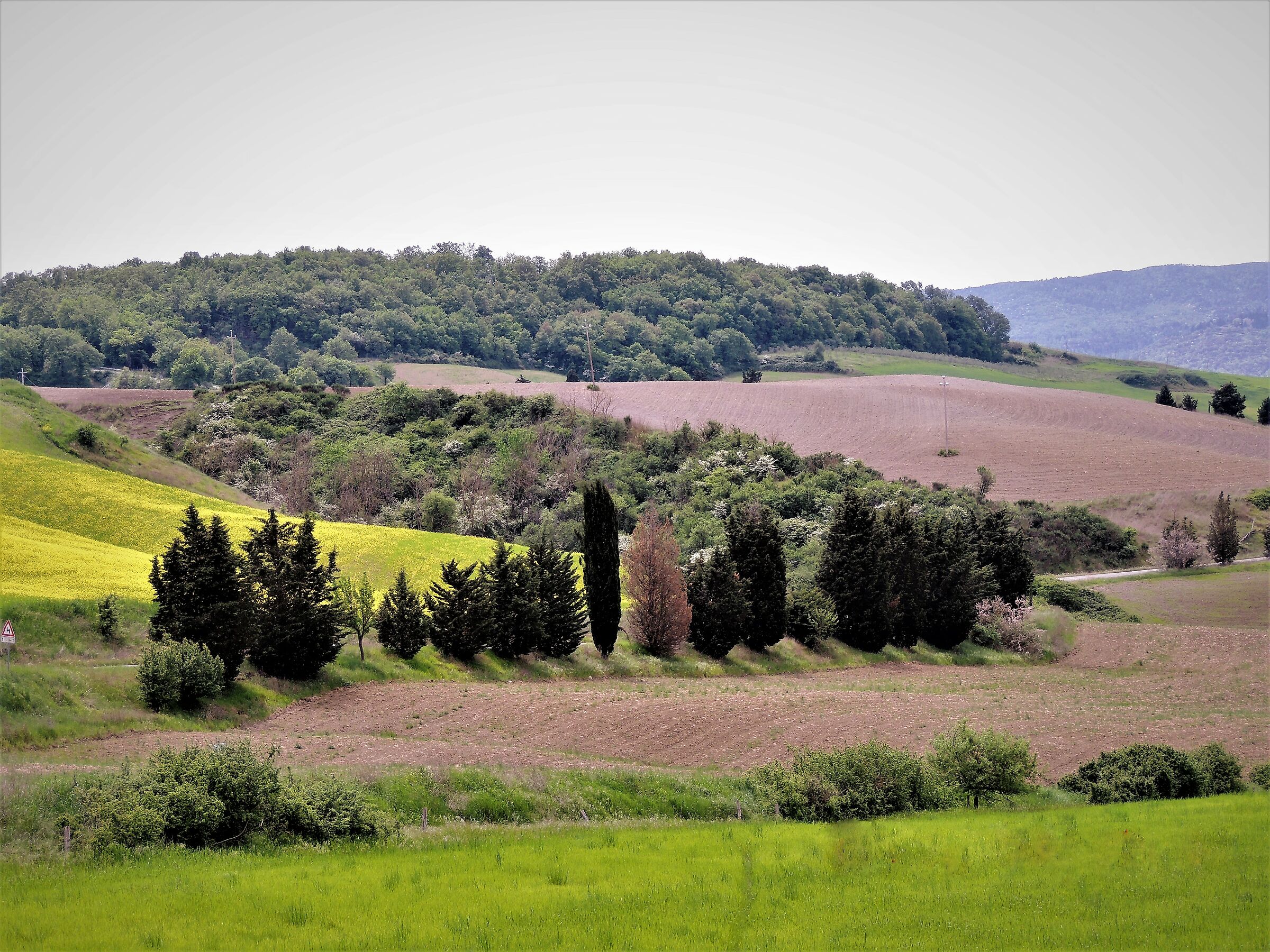 Tuscan countryside. Asciano....