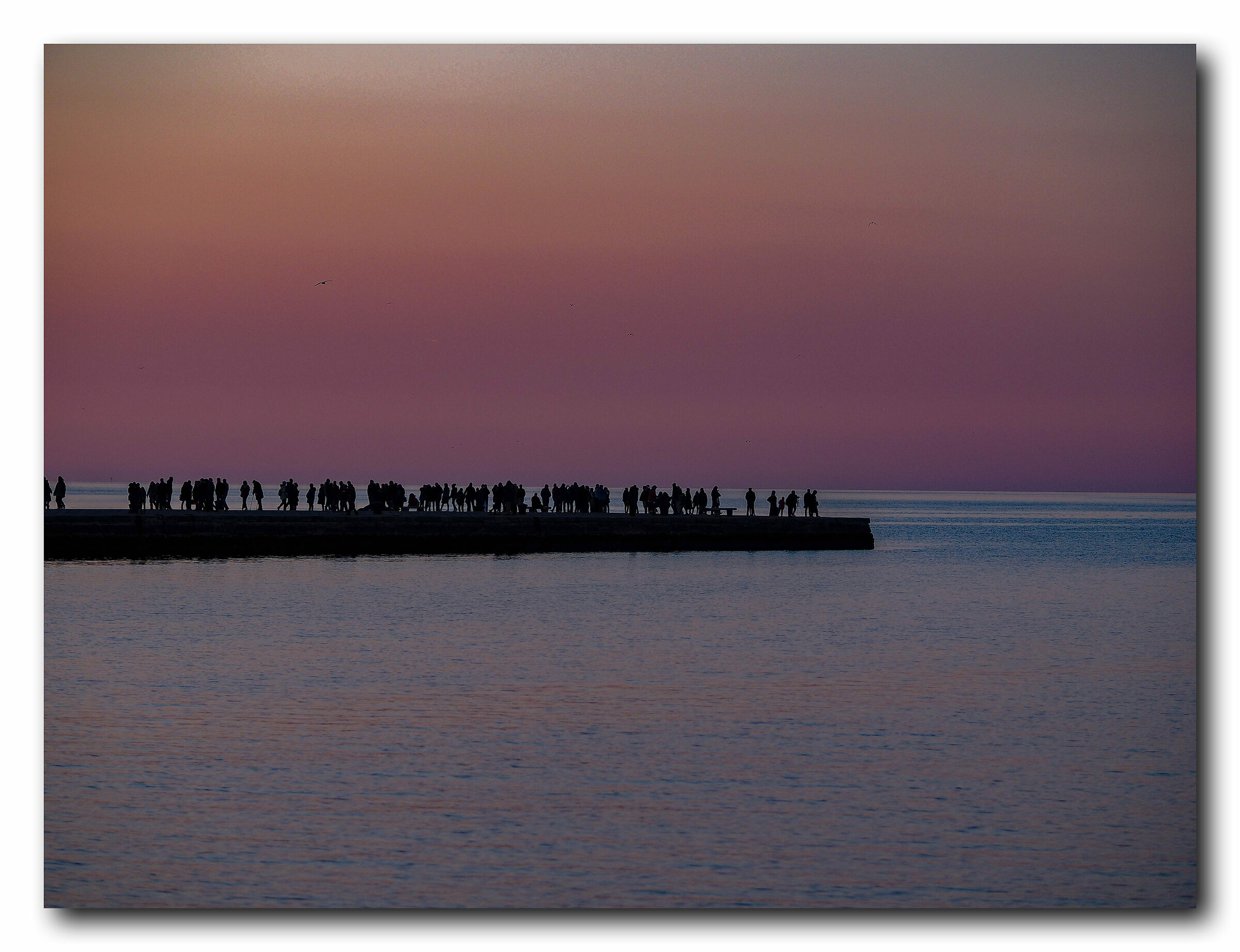 Trieste, Bold Pier...