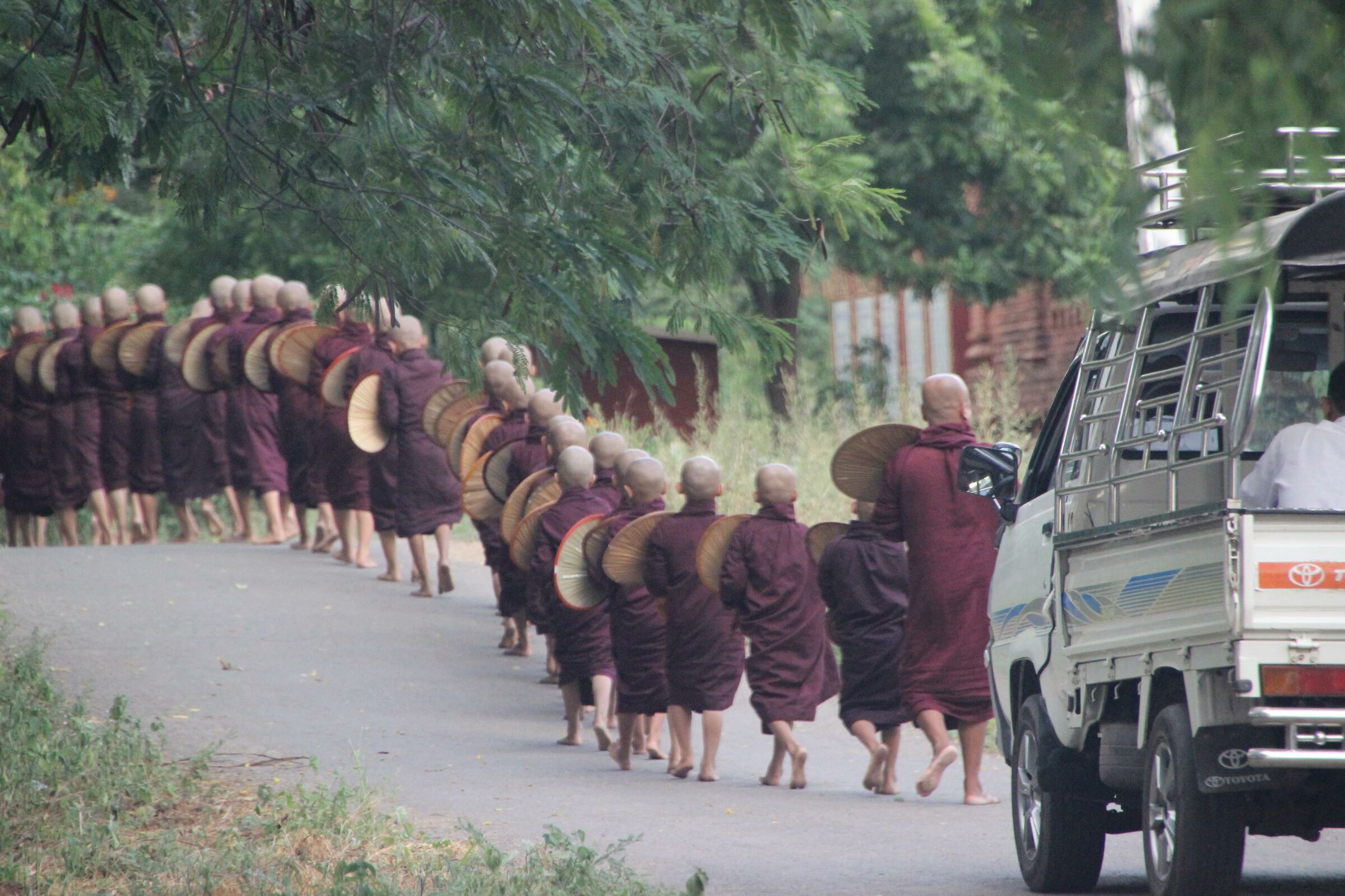 Procession of Buddhist monks...