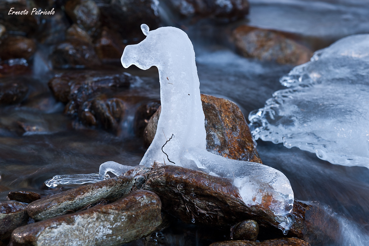 ice horse...