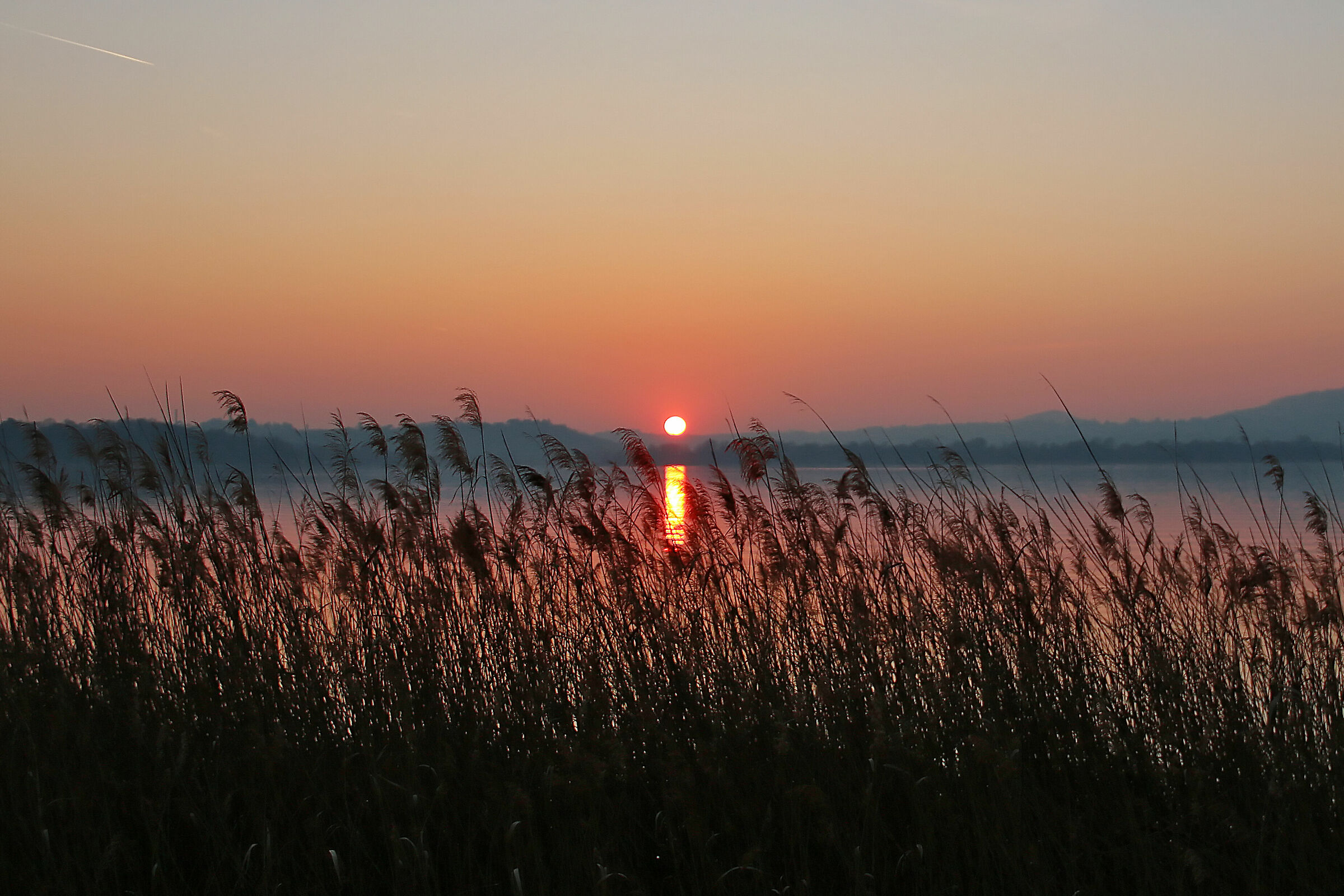 Lake Pusiano -Sunset...
