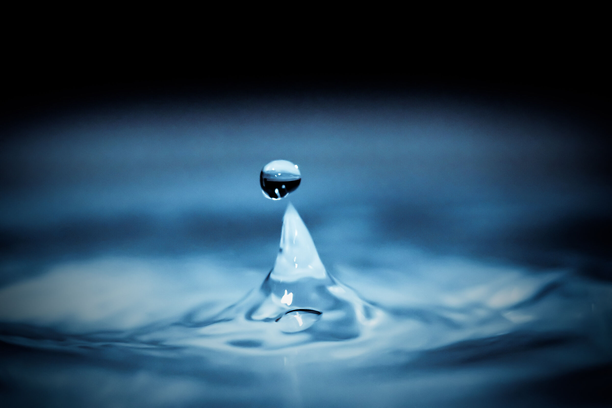Drop ...