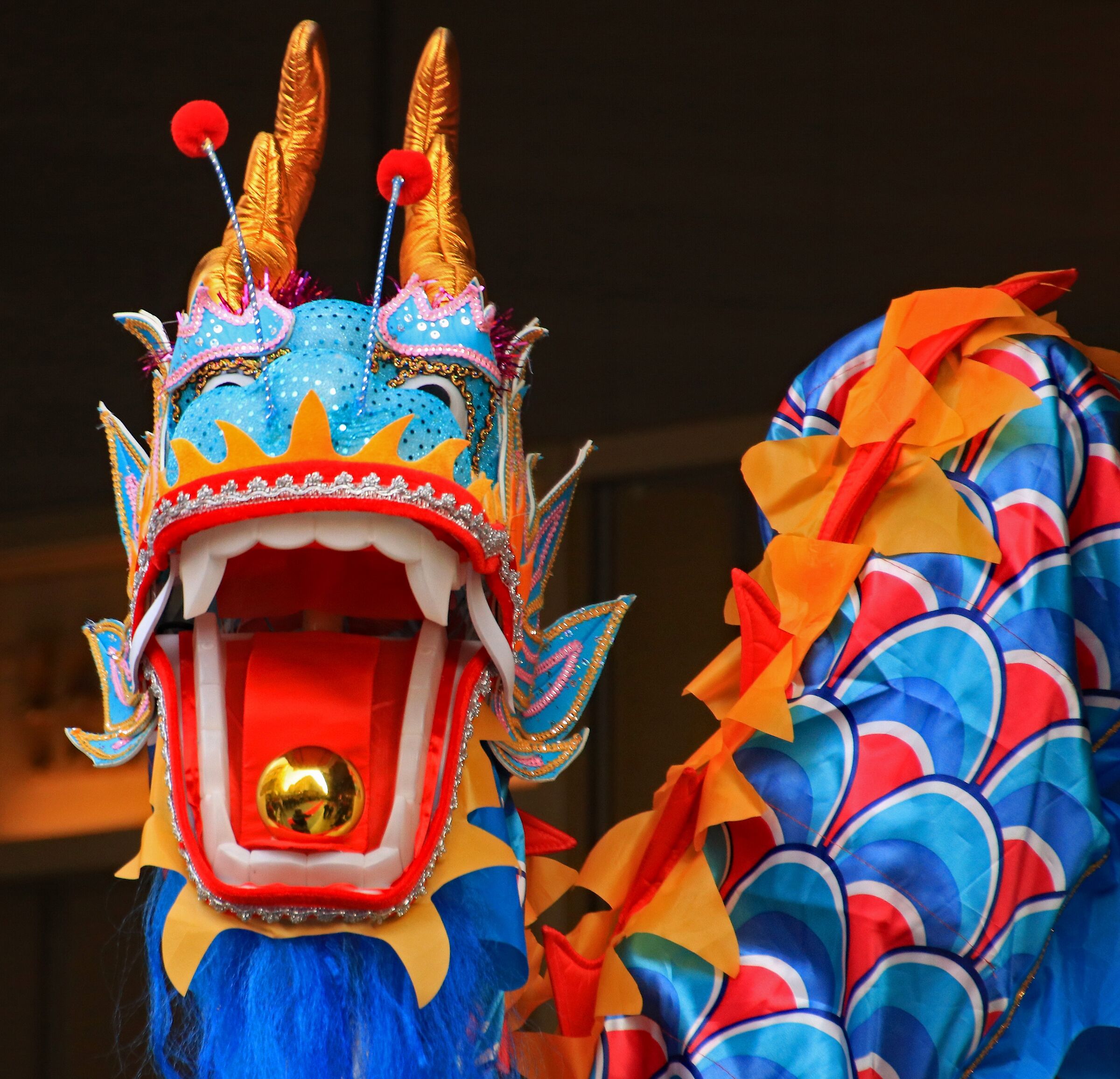 Festa capodanno cinese: il drago...