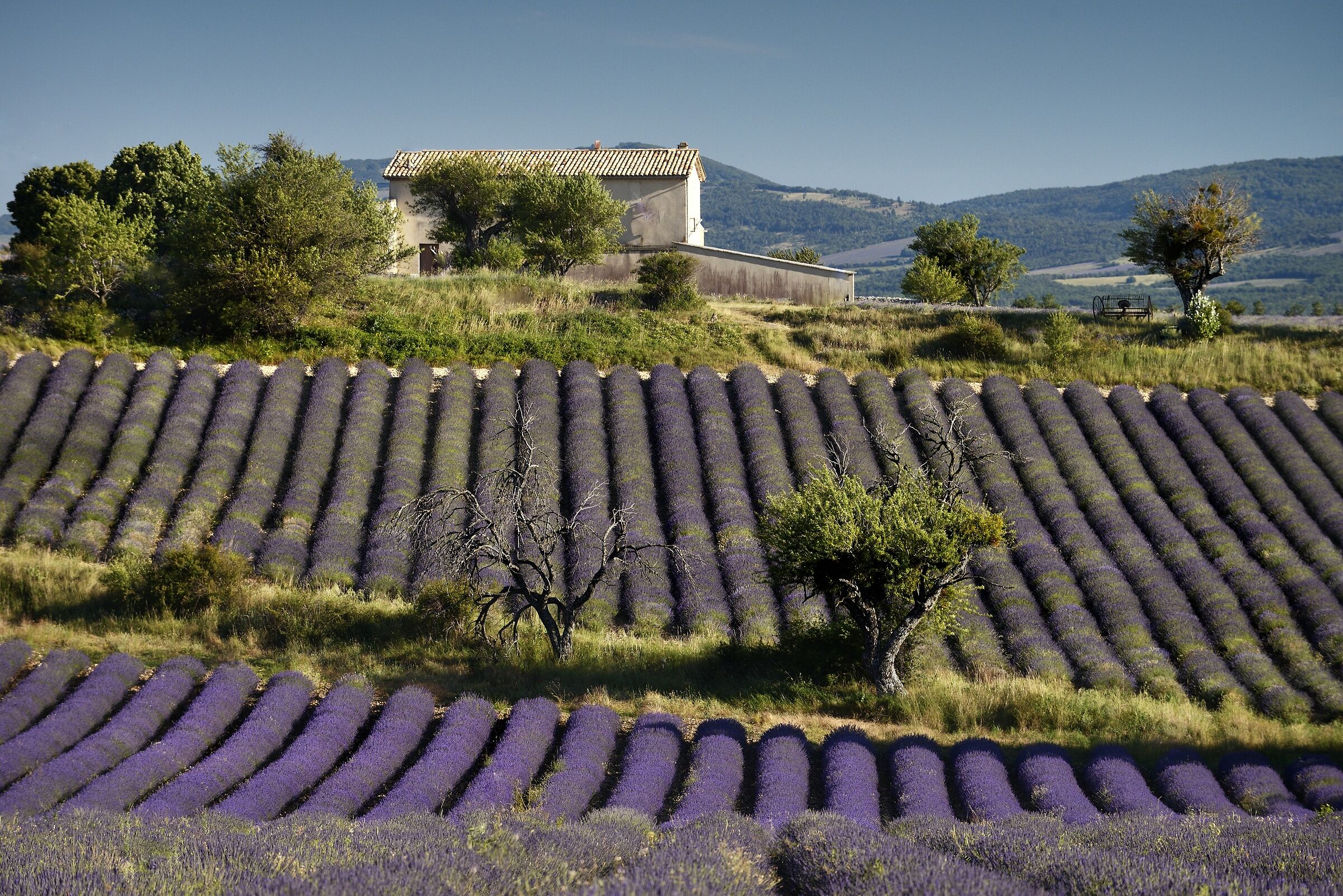Sault, Provence...