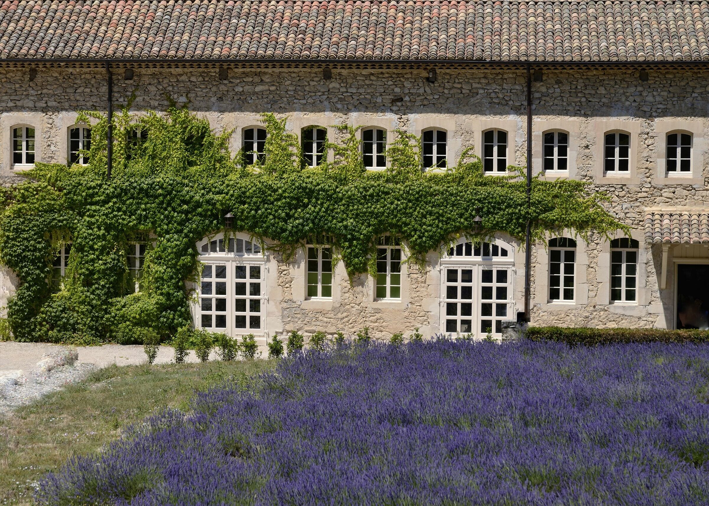Sénanque Abbey in Gordes, Provence...