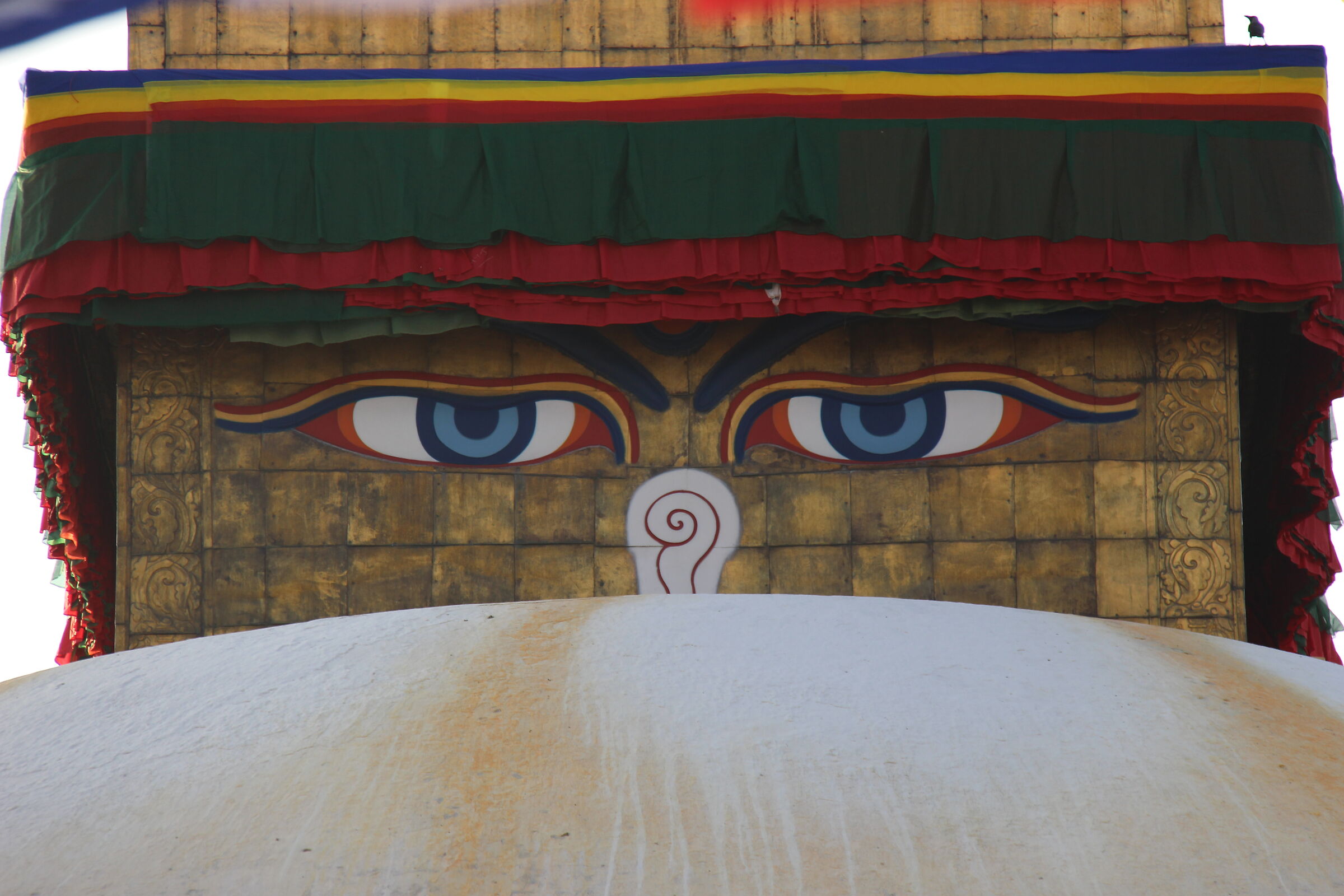Buddha's eyes...