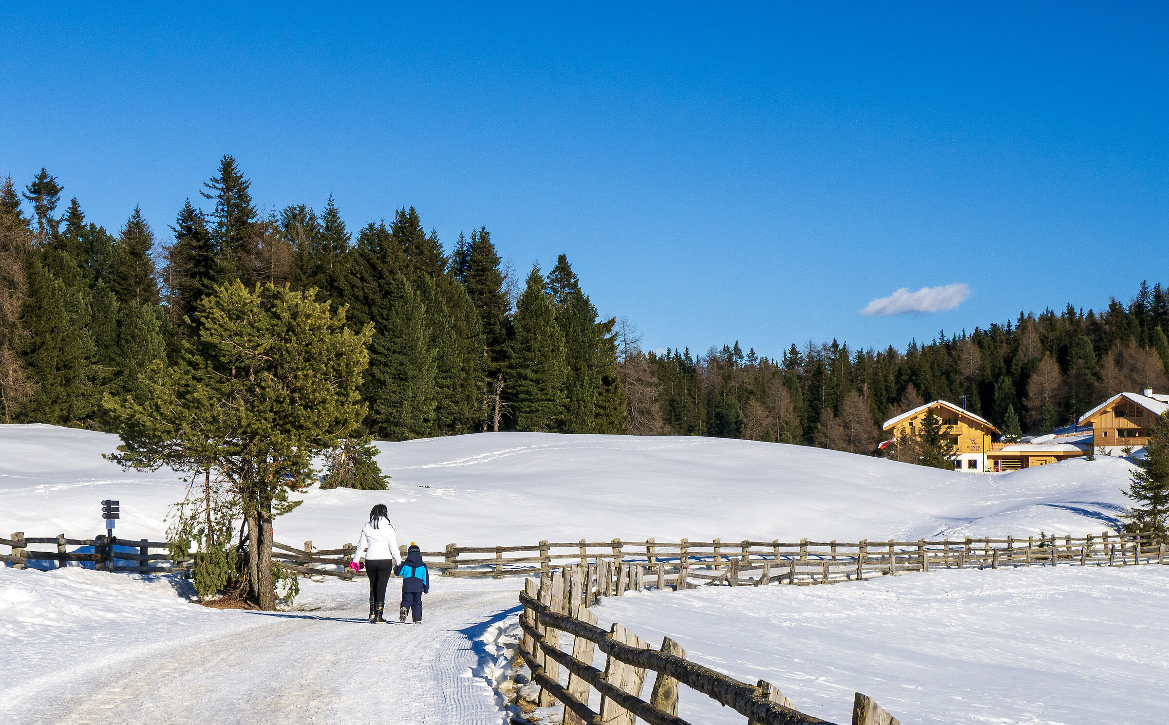 Alpe di Rodengo...