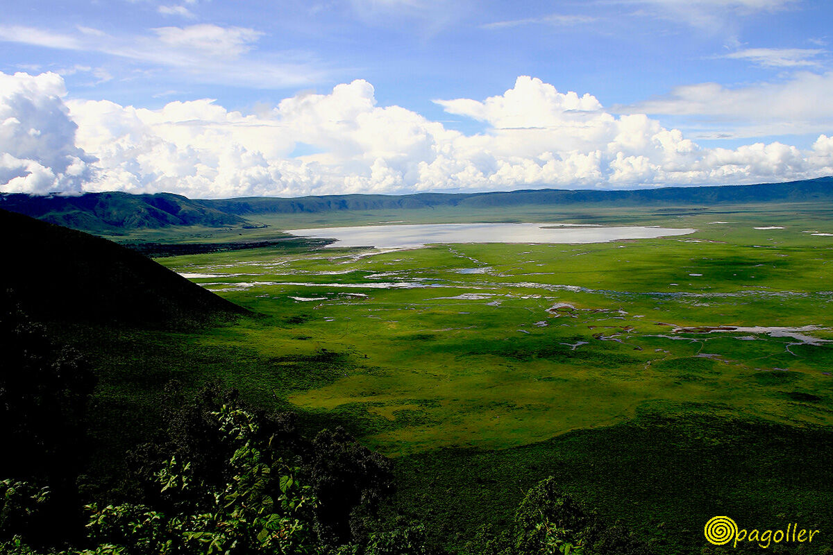 Cratere Ngorongoro...